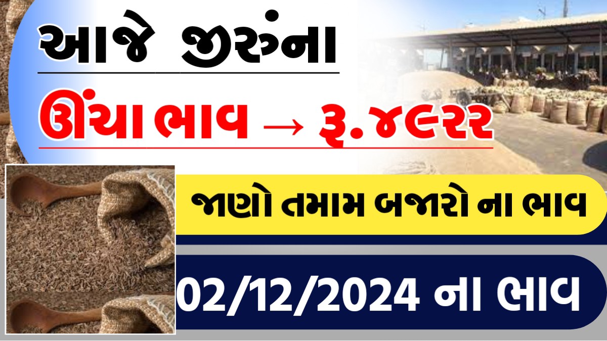 આજે જીરુના રુ.૪૯૨૨ ઊચા ભાવ, જાણો આજના તમામ બજારોના ભાવ