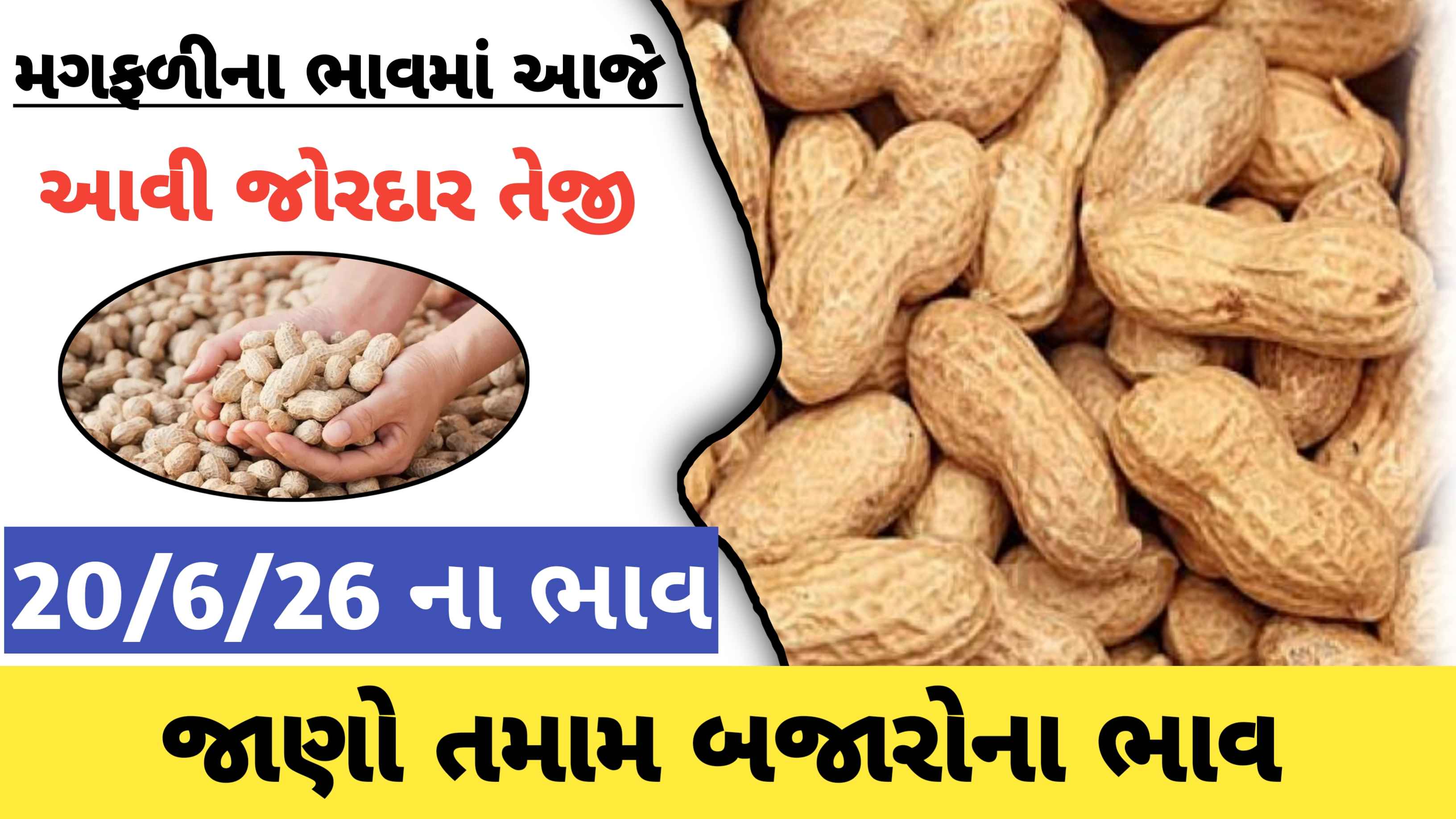 મગફળીના ભાવમાં સતત વધારો જાણો , આજના તમામ બજારોના ભાવ