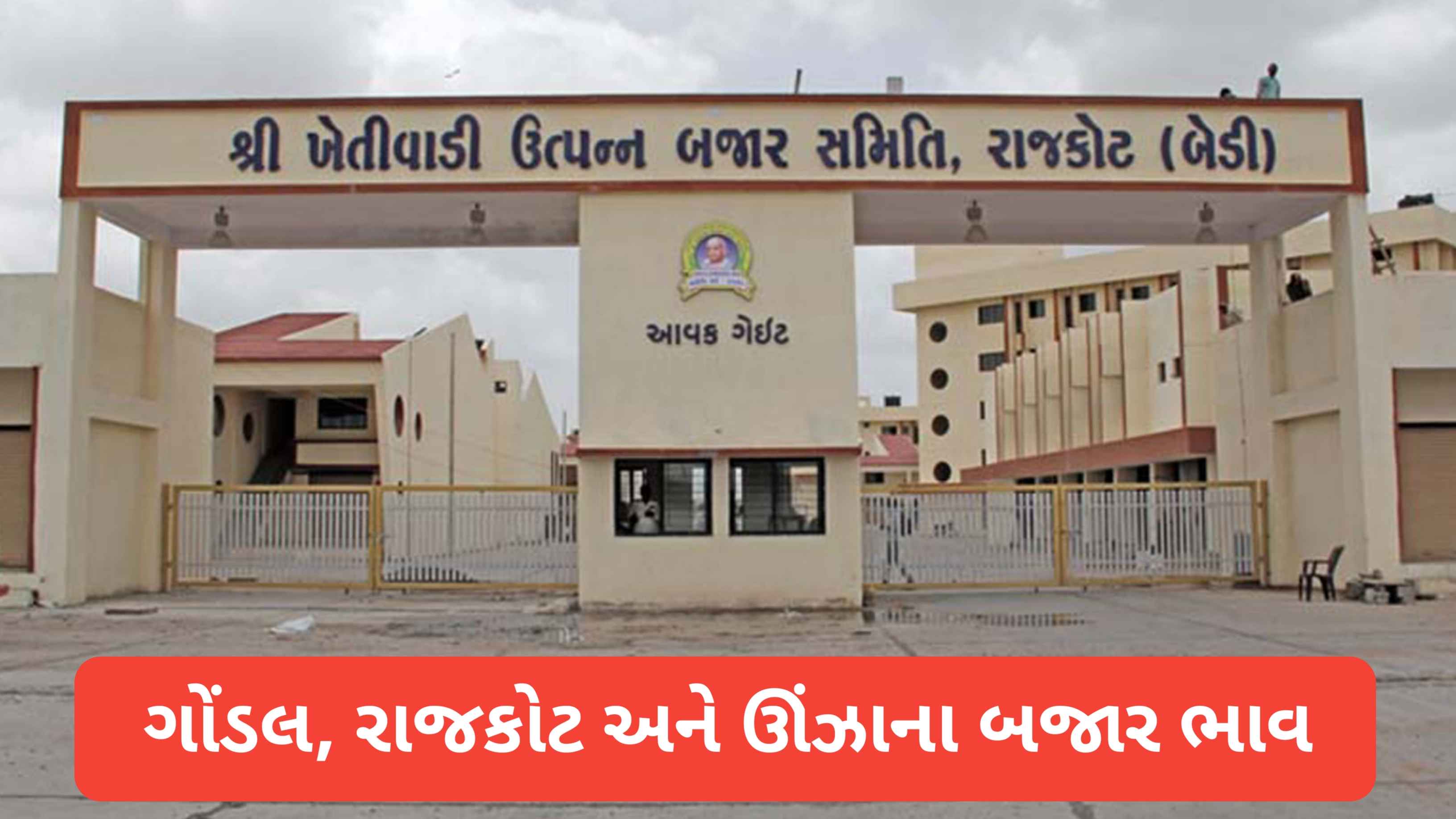 APMC Bajar Bhav(24 જૂન 2026): ગોંડલ,રાજકોટ અને ઊંઝા ના બજાર ભાવ