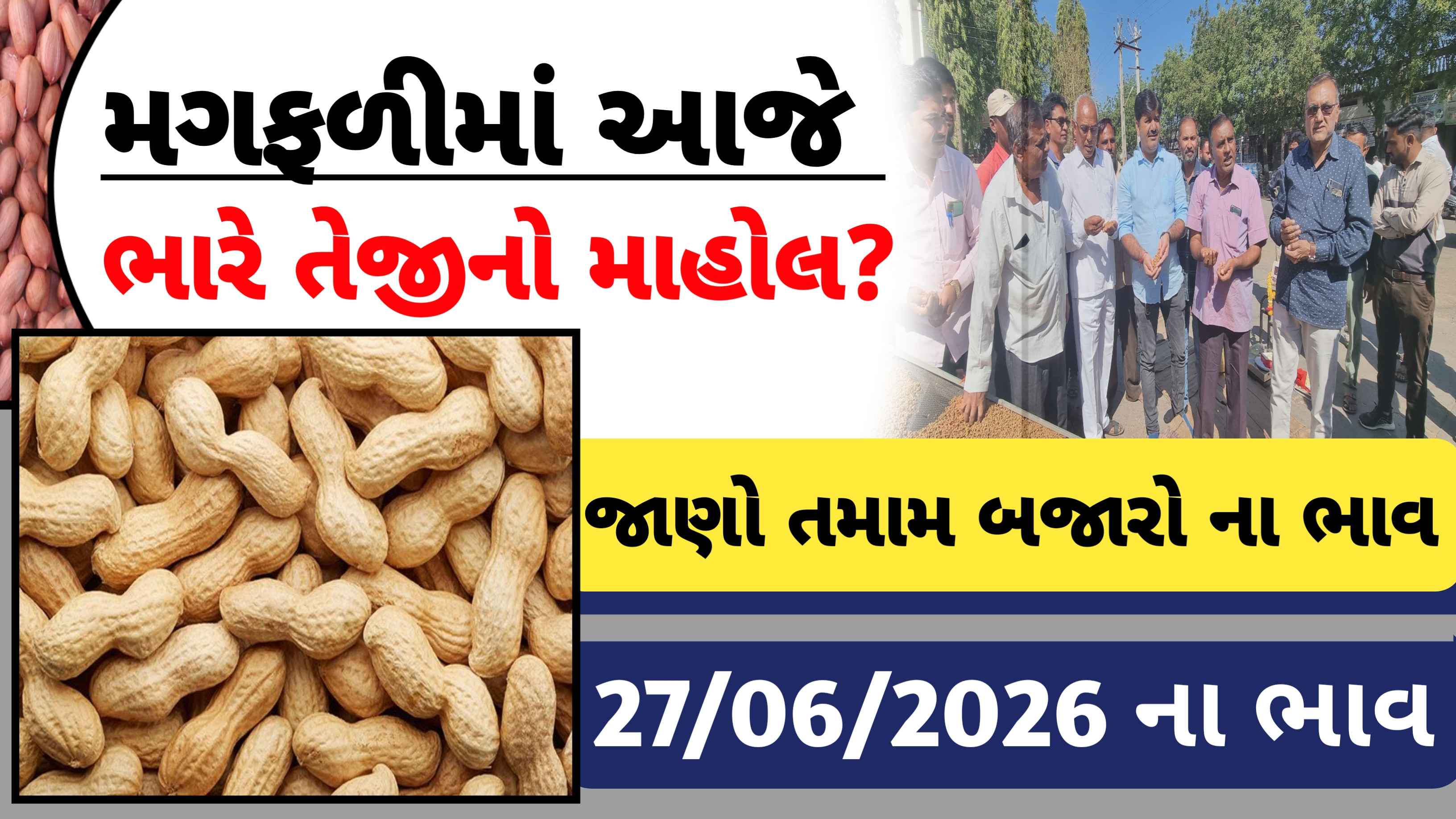 જાણો આજના મગફળીના બજાર ભાવો (27 જૂન 2026)