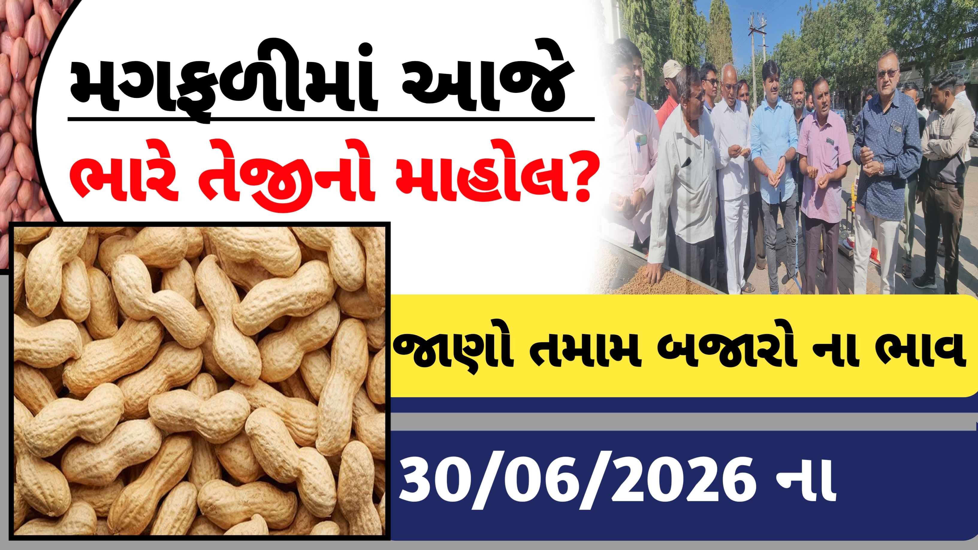 મગફળીમાં આજે ભારે તેજીનો માહોલ? જાણો આજના તમામ બજારોના ભાવ