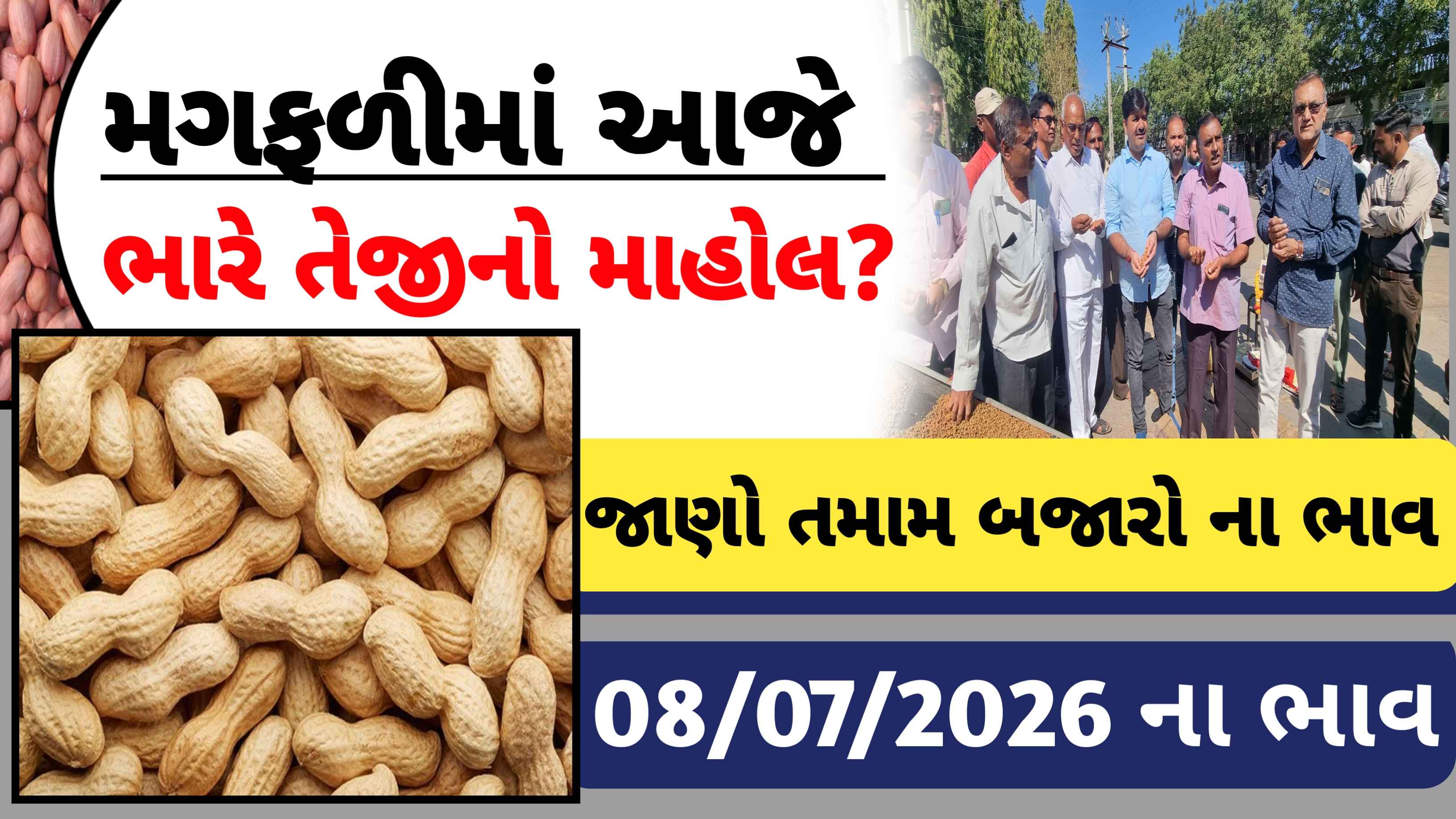 આજે મગફળીના ભાવમાં ભારે તેજી, જાણો આજના તમામ બજારોના ભાવ