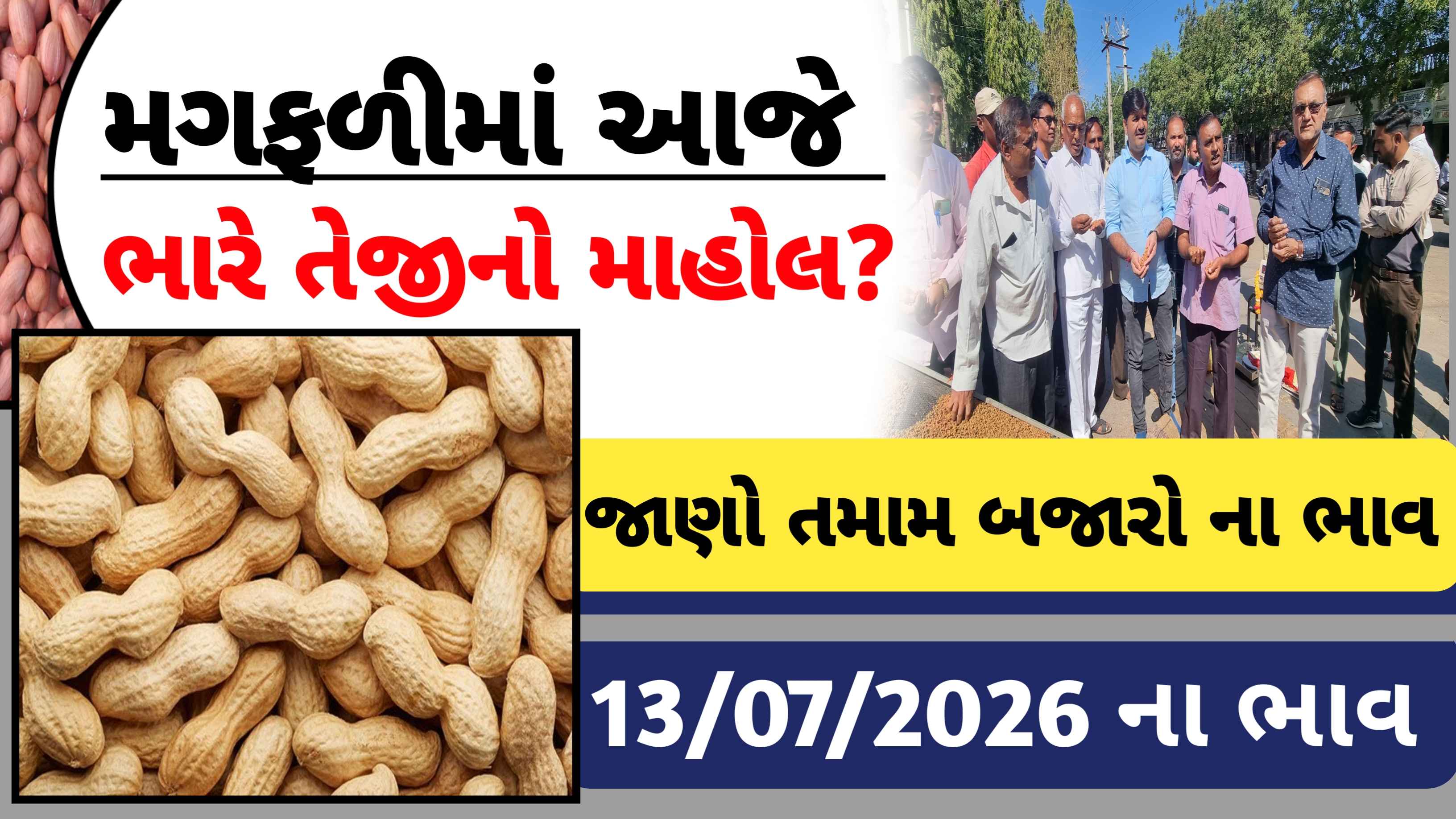 આજના મગફળીના બજાર ભાવ,  ગુજરાતના કયા માર્કેટ યાર્ડમાં મળ્યા સૌથી નીચા ભાવ?