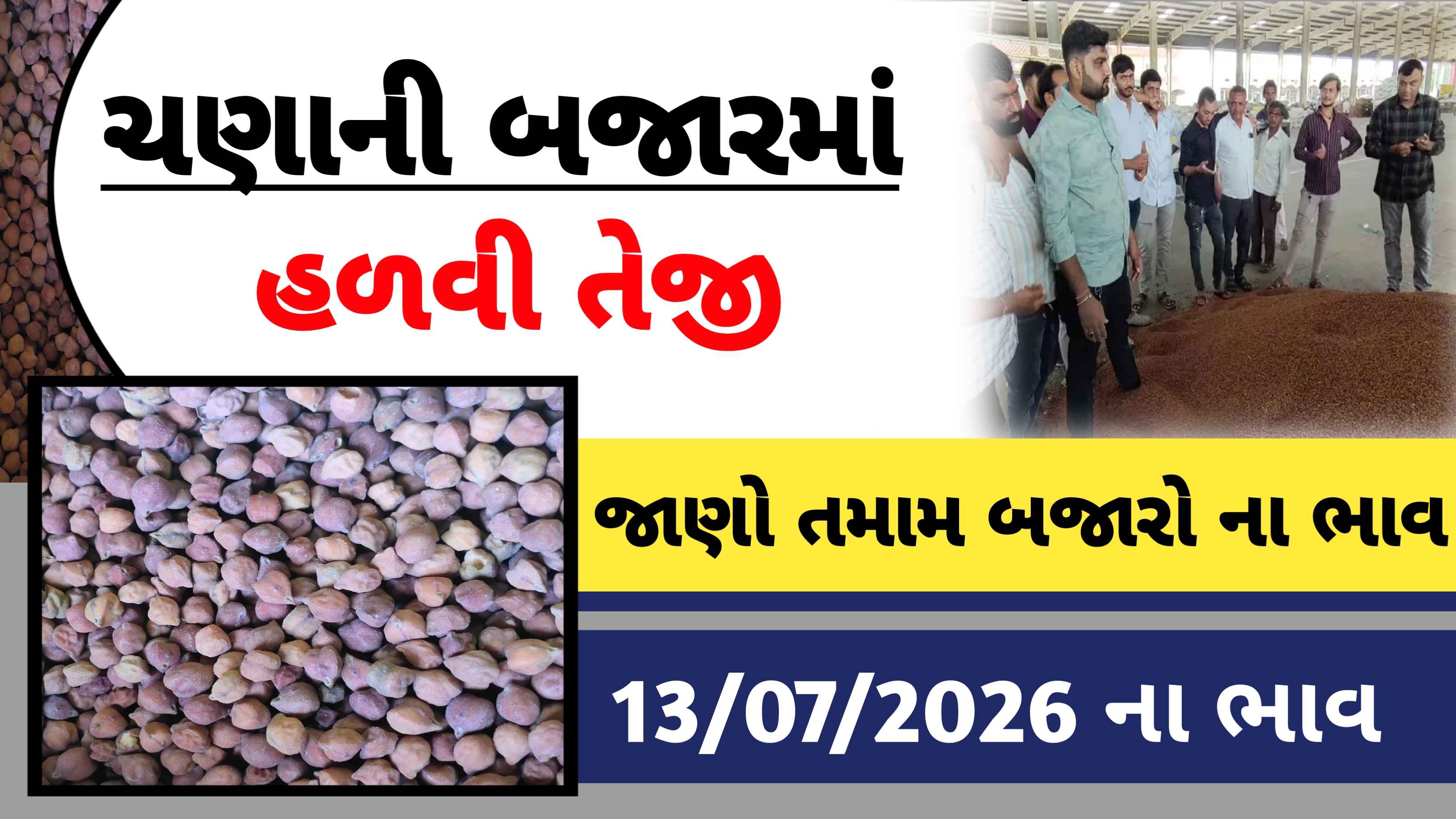 આજના ચણાના  બજાર ભાવ, જાણો તમારા યાર્ડના લેટેસ્ટ ભાવ