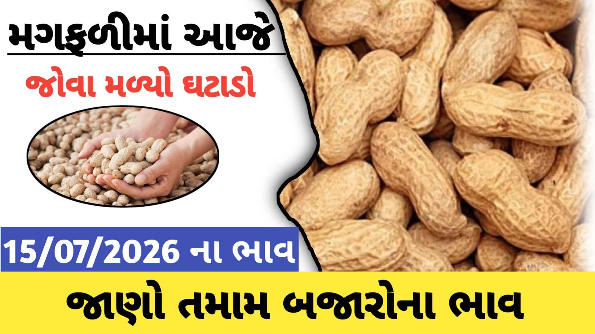 આજે મગફળીના ભાવમાં જોવા મળ્યો ઘટાડો