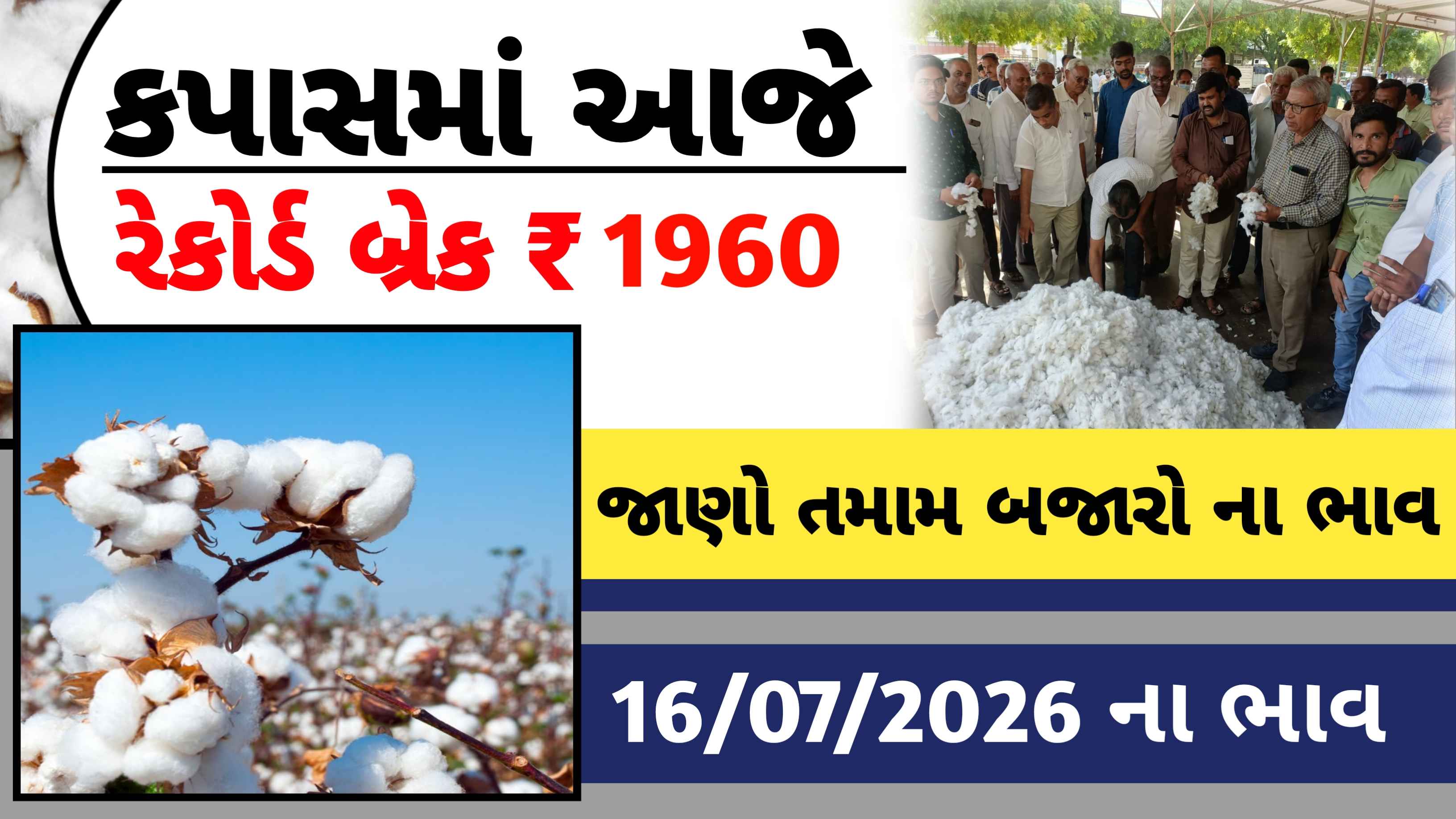 આજે કપાસની બજારમાં રેકોર્ડ બ્રેક ભાવ  રૂ 1960 રહ્યો.