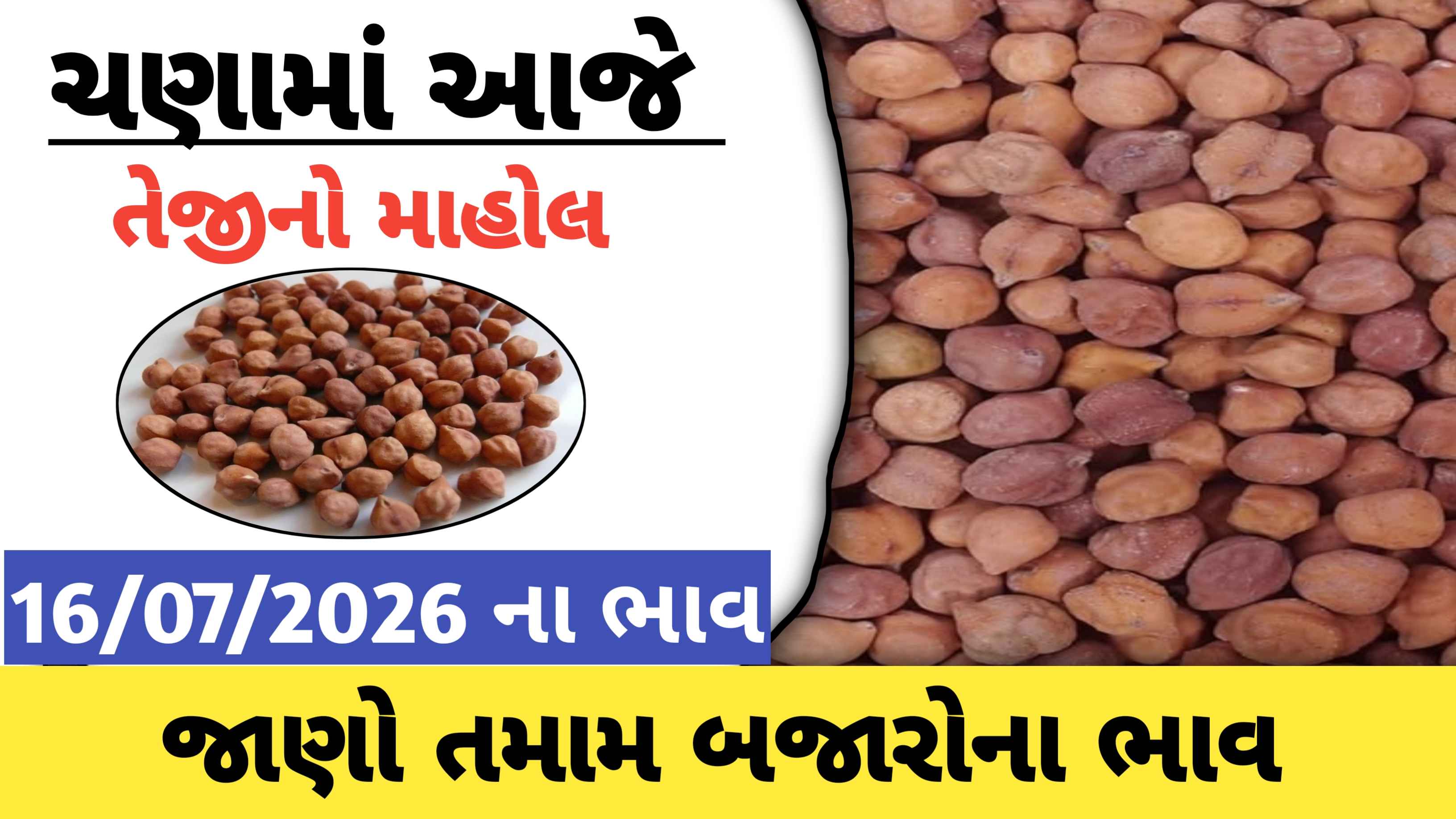 ચણાના આજના તાજા ભાવ, ખેડૂતો માટે મહત્વના સમાચાર