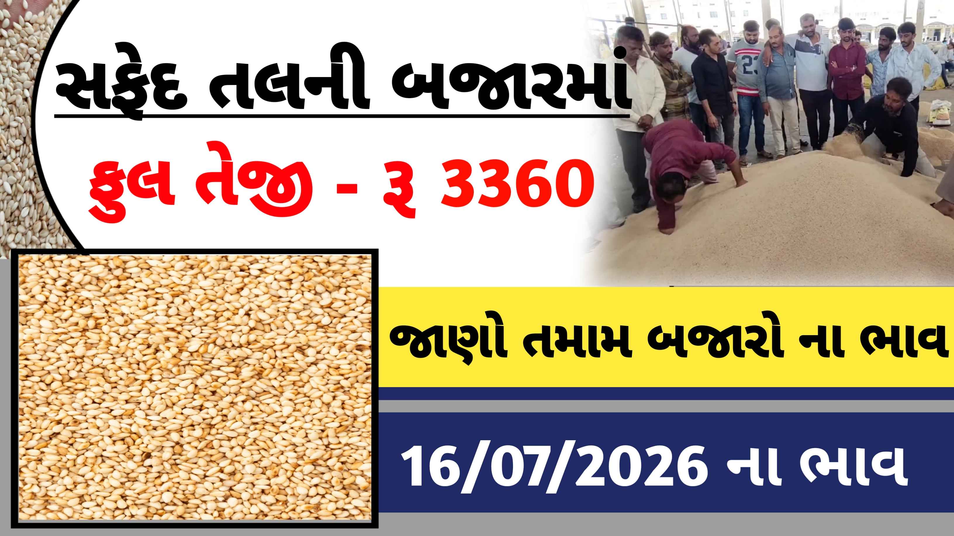 ​સફેદ તલના ભાવમાં મોટો  ઉછાળો, ખેડૂતો માટે કામની માહિતી