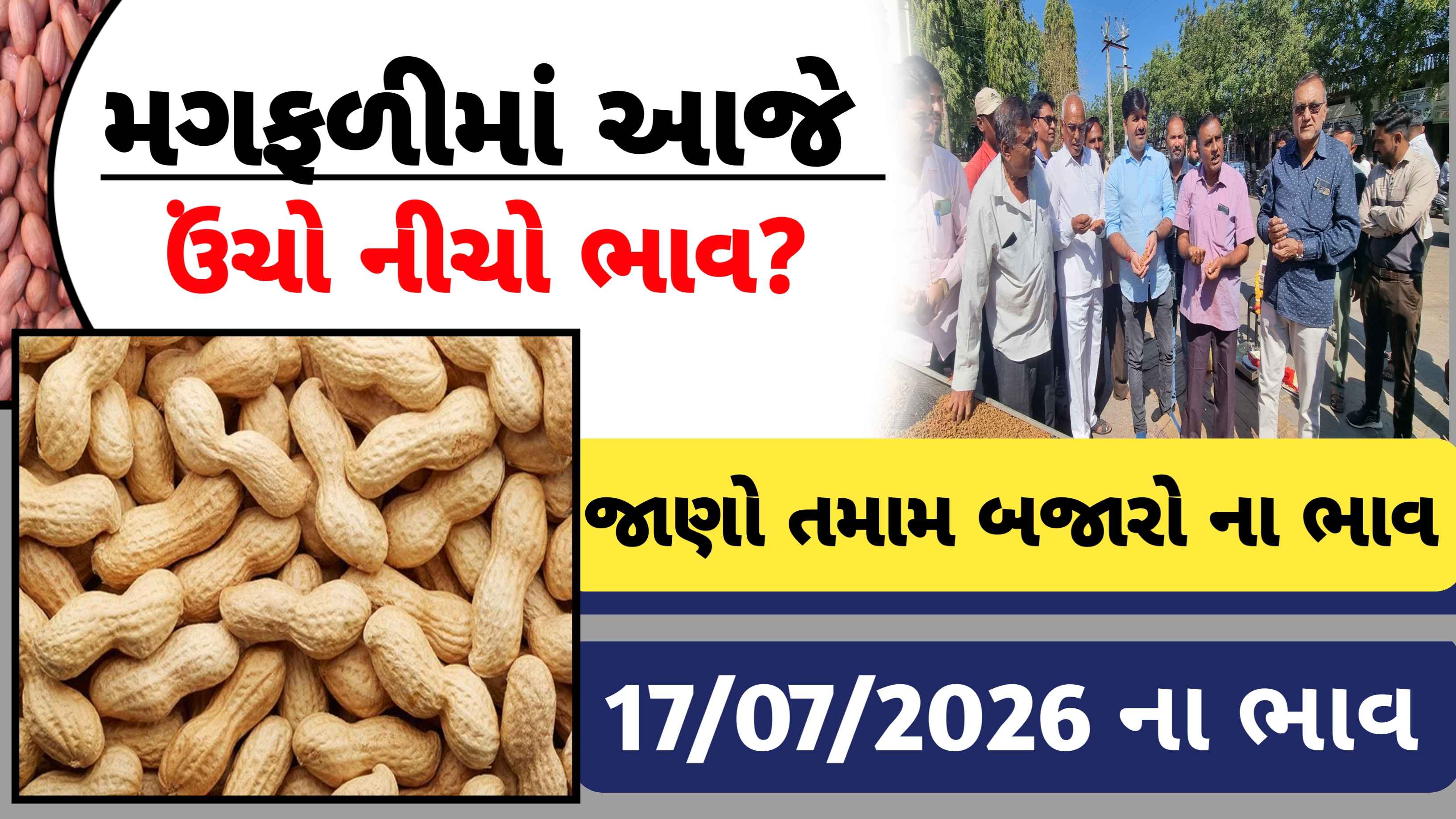 આજના મગફળીના બજાર ભાવ, કેટલો રહ્યો ઊચો બજાર ભાવ?