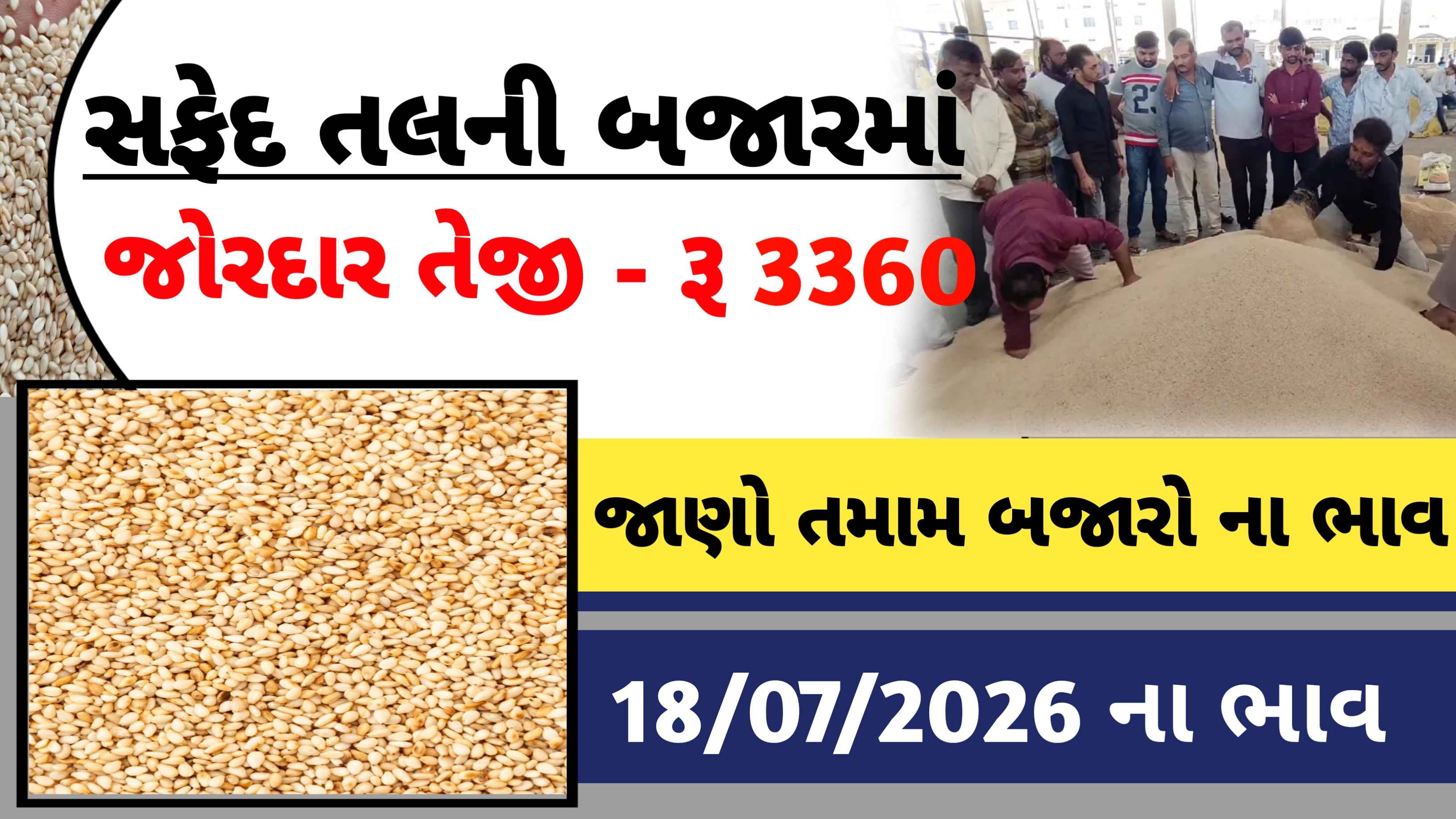 આજે સફેદ તલના ભાવમાં મોટો ઉછાળો, જુઓ 18 જુલાઈ 2026ના તમામ APMC ના ભાવ