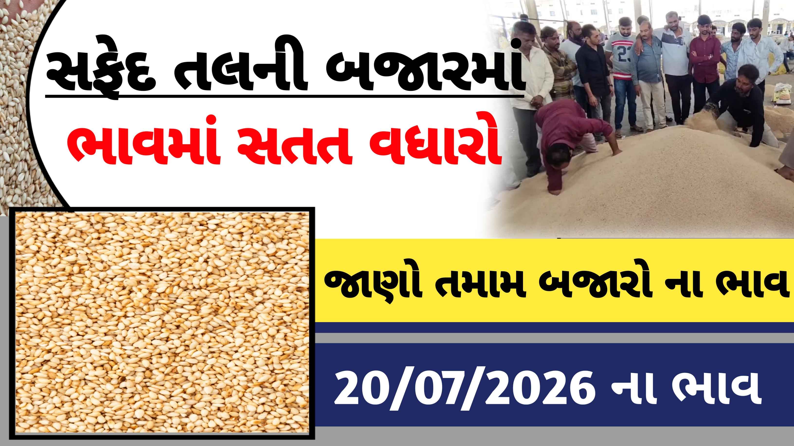 ગુજરાતના વિવિધ માર્કેટિંગ યાર્ડમાં સફેદ તલના બજાર ભાવની વિગત
