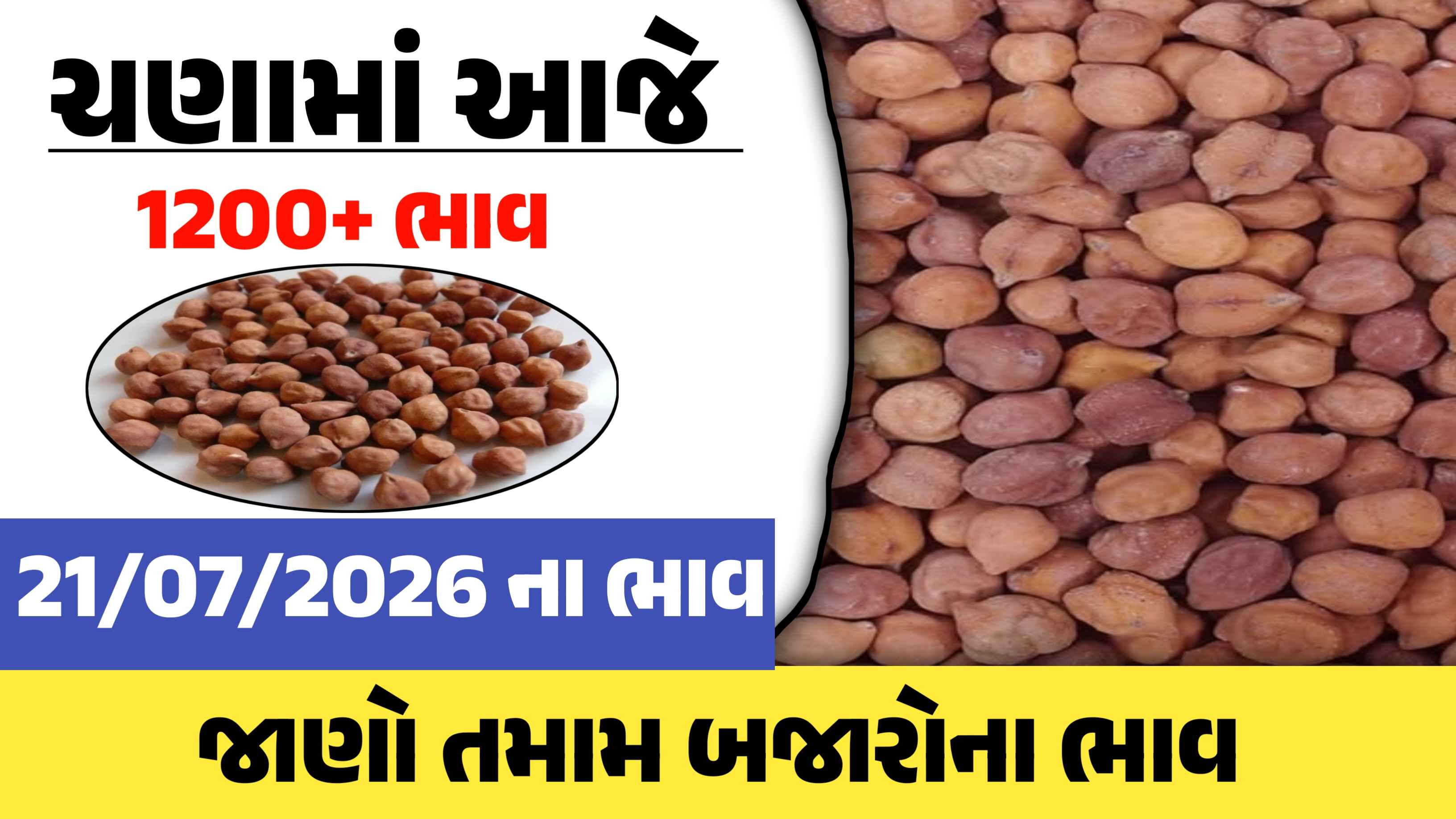 ખેડૂતો માટે ખુશખબર: ચણાના બજારમાં સારા બજાર ભાવ મળવાથી ઉત્સાહ