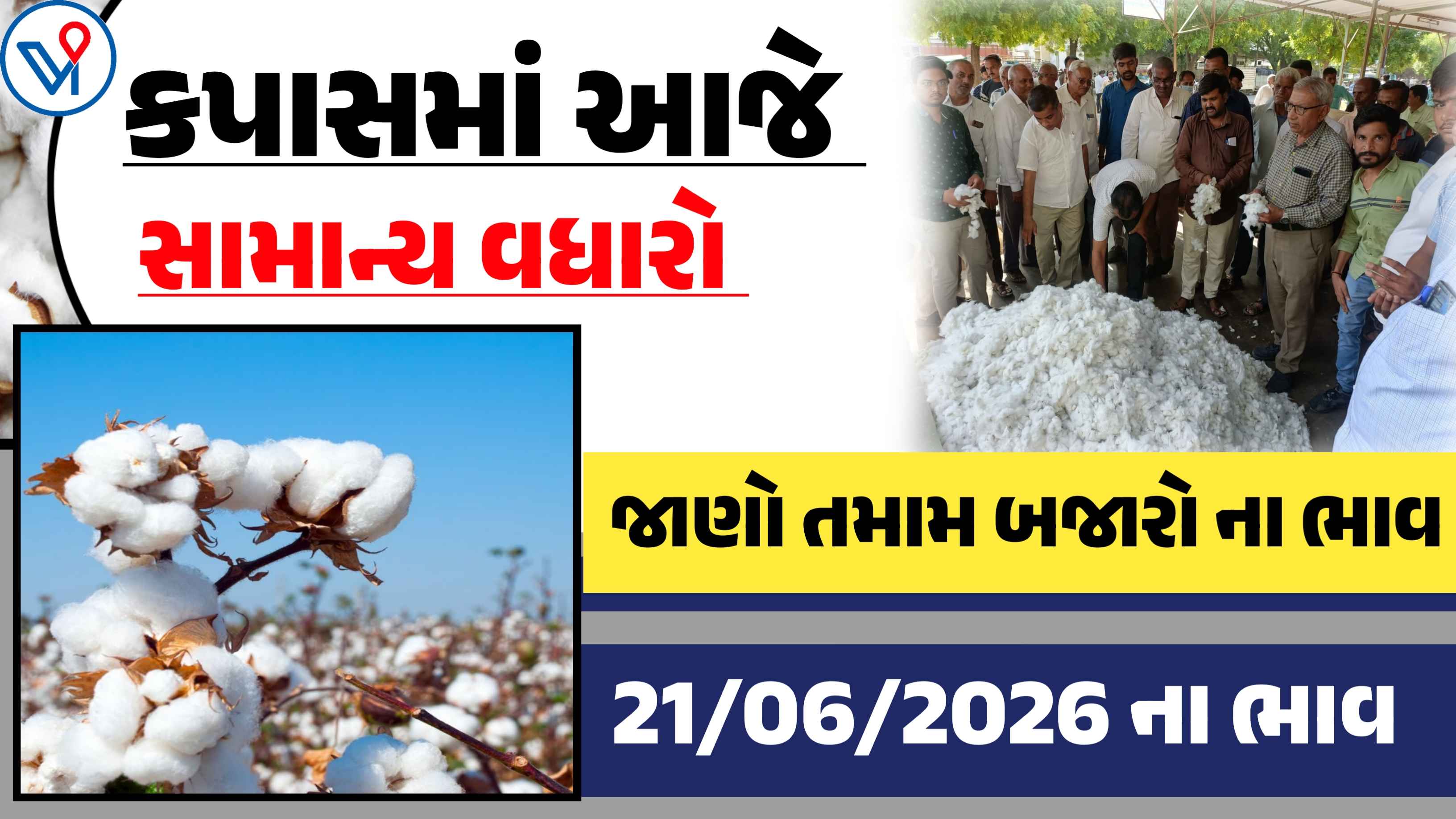 આજે કપાસમાં ઊચો ભાવ 1901 રૂપિયા બોલાયો, જાણો તમામ યાર્ડના બજાર ભાવ