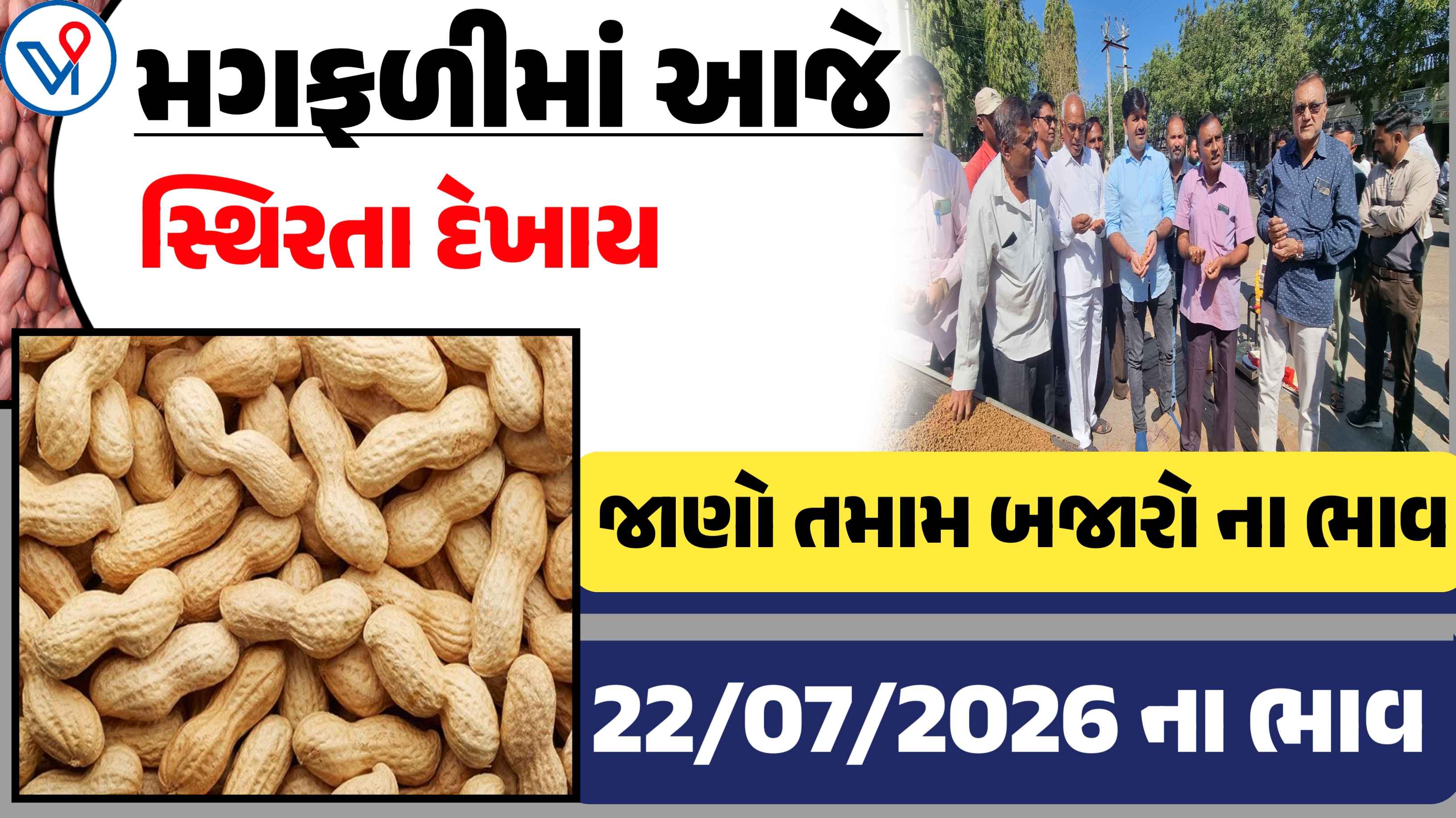 જાણો આજના મગફળીના બજાર ભાવો (22 જુલાઇ 2026)