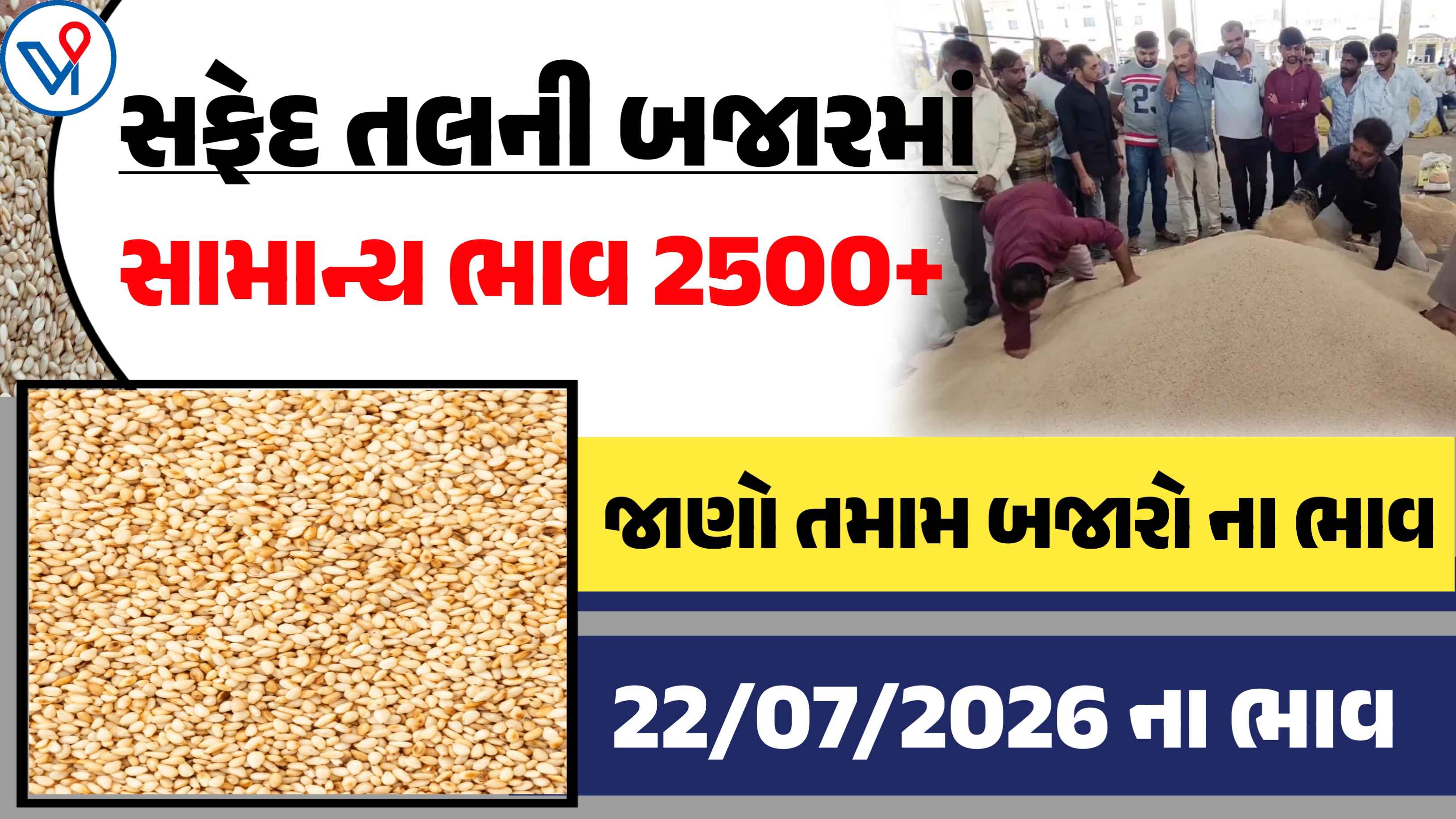 આજનું  સફેદ તલનું બજાર: તલના ભાવમાં કેટલો ફેરફાર?
