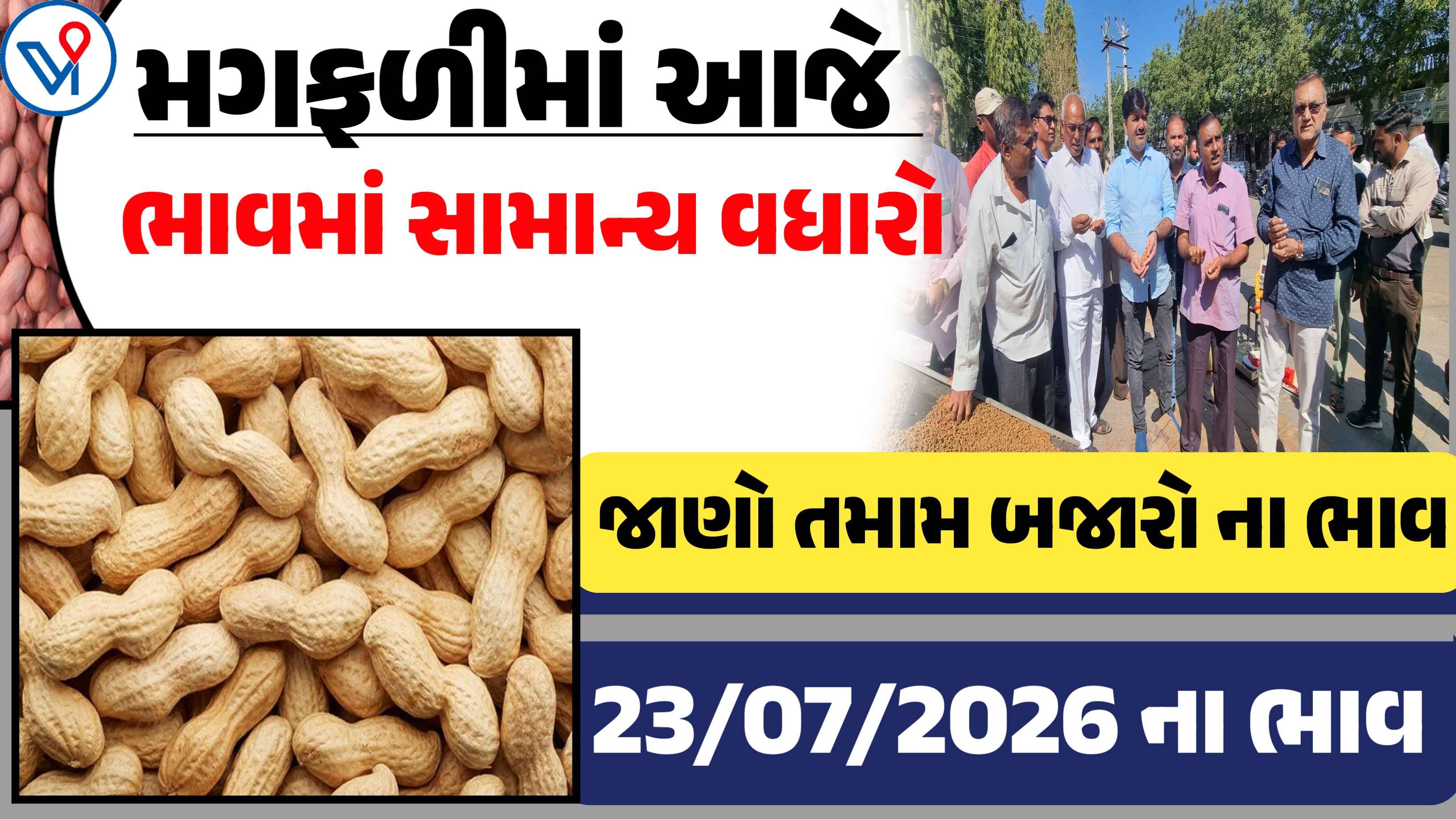 આજે મગફળીના ભાવમાં સામાન્ય ઉછાળો? જુઓ 23 જુલાઈ 2026 ના તમામ APMC ના ભાવ