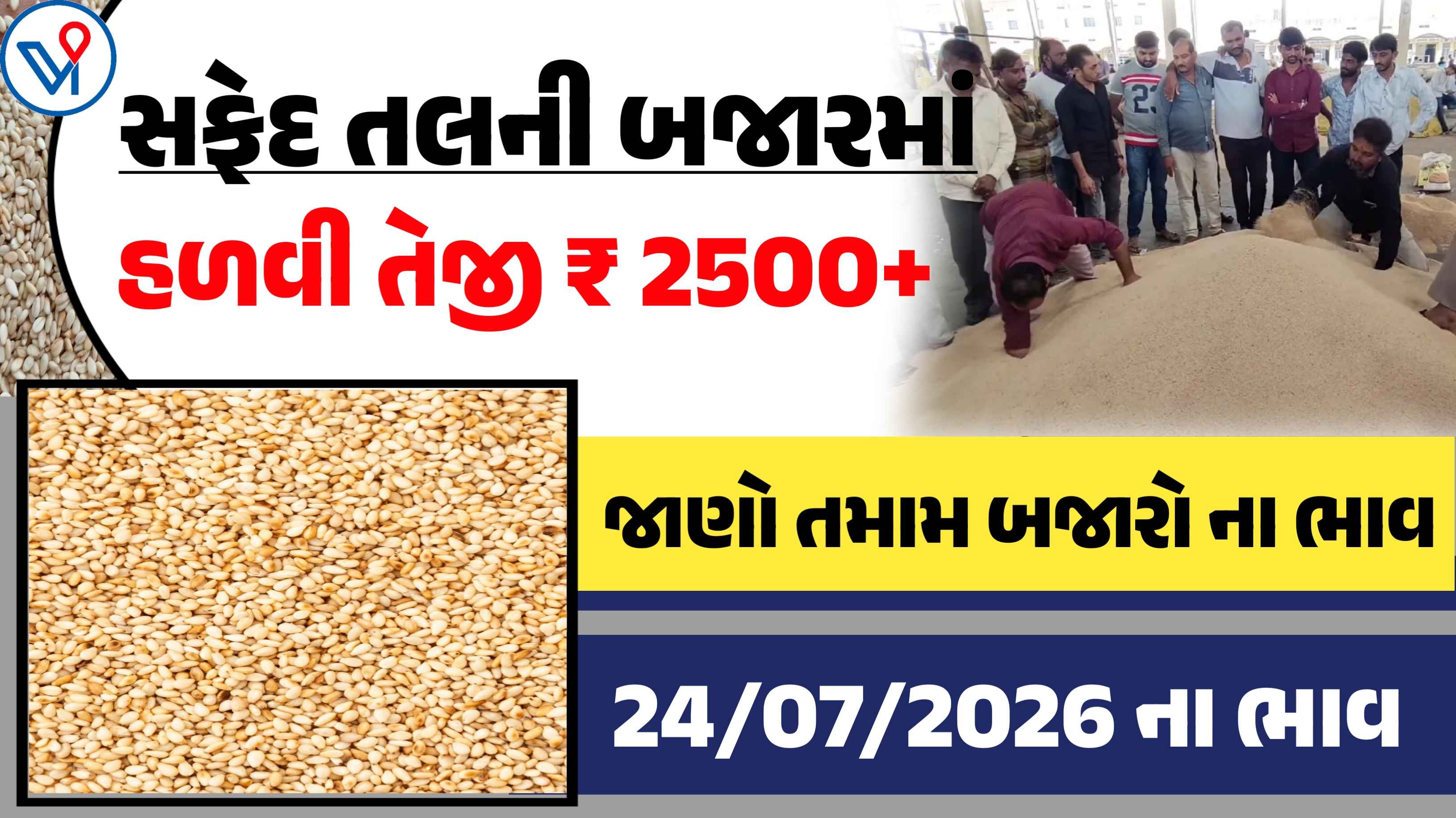 સફેદ તલના બજાર ભાવ: સફેદ તલના ભાવમાં જોવા મળી કેટલી વધઘટ?
