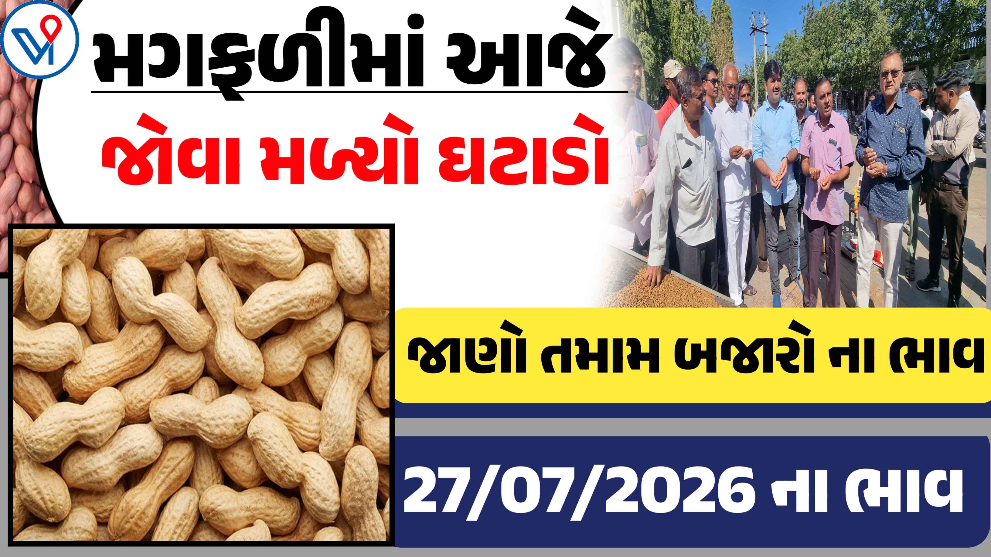 આજે મગફળીના ભાવમાં જોવા મળ્યો ઘટાડો, જાણો આજના બજાર ભાવ
