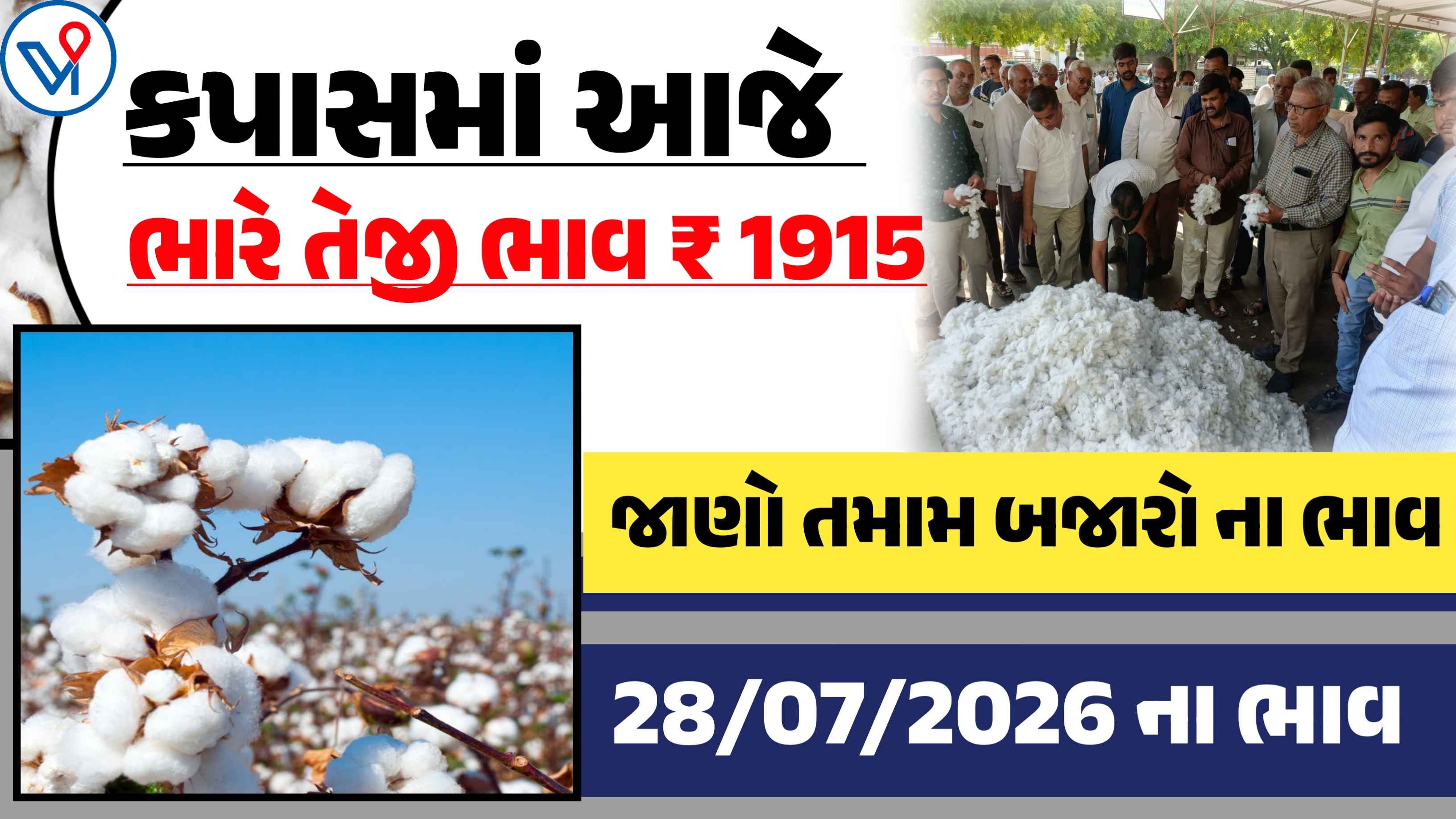 આજે કપાસના ભાવમાં ઉછાળો, જાણો આજના બજાર ભાવ