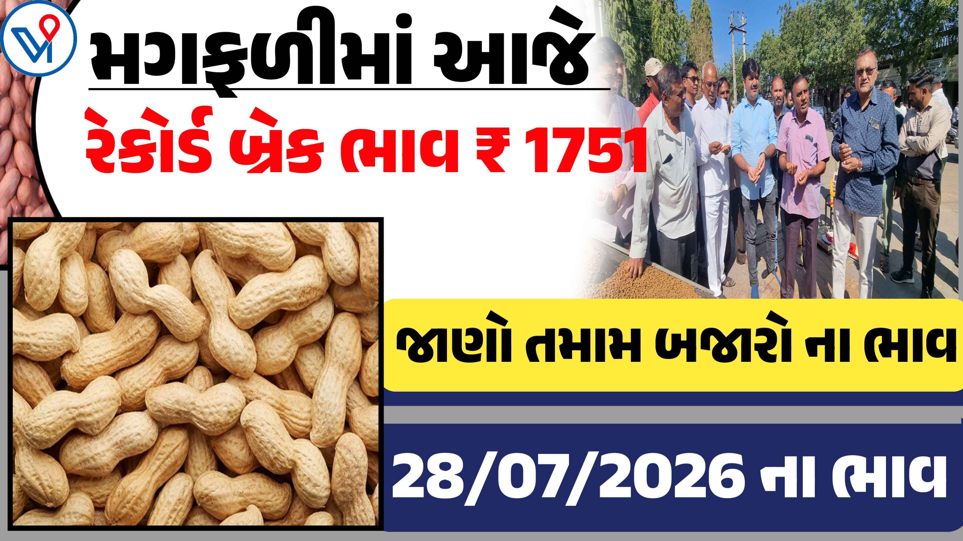 મગફળીમાં આજે રેકોર્ડ બ્રેક ભાવ, જાણો કયા યાર્ડમાં રહ્યો ઉંચો ભાવ