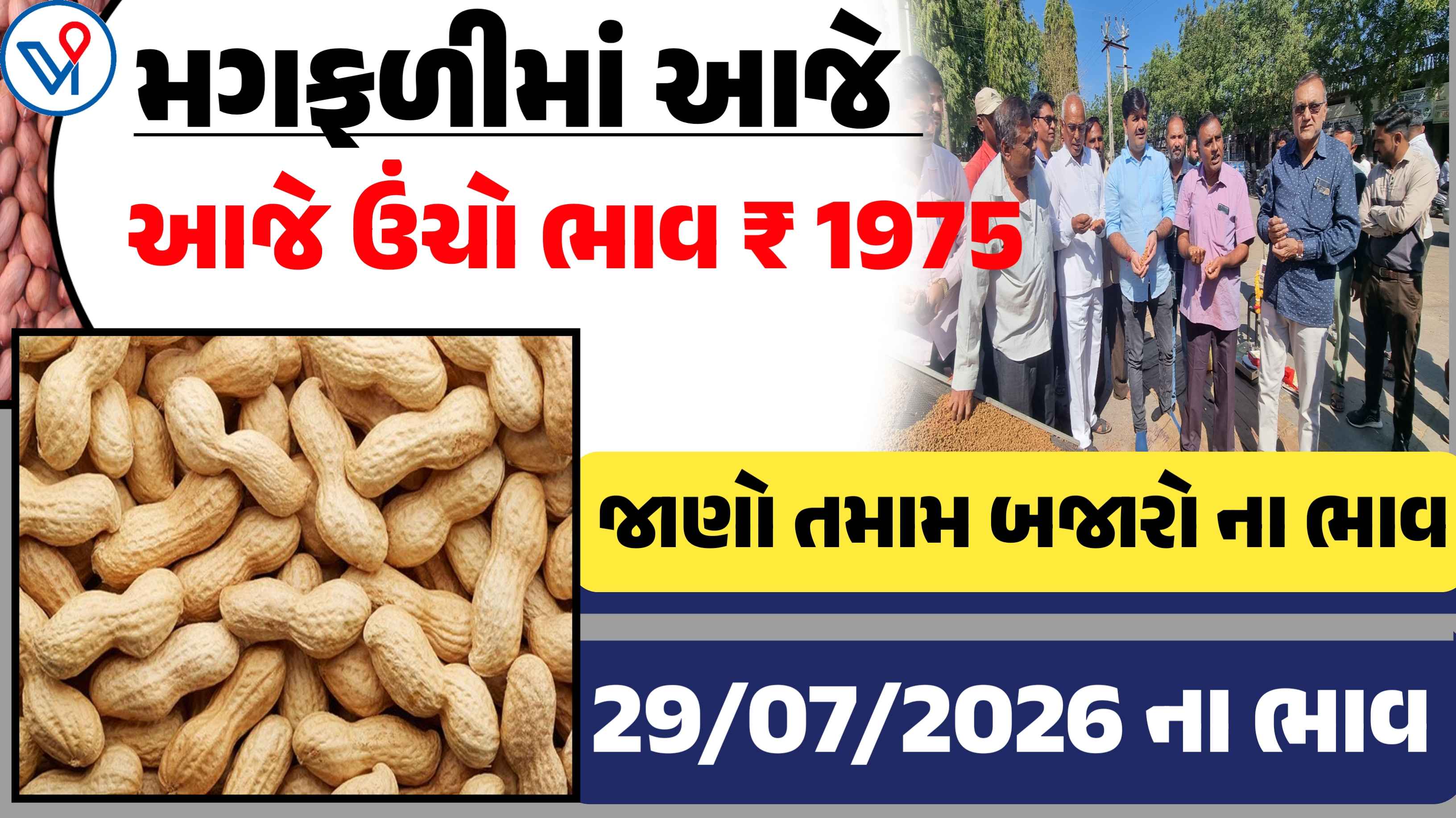 આજના મગફળીના બજાર ભાવ, આજે ઊંચો ભાવ 1975 બોલાયો,