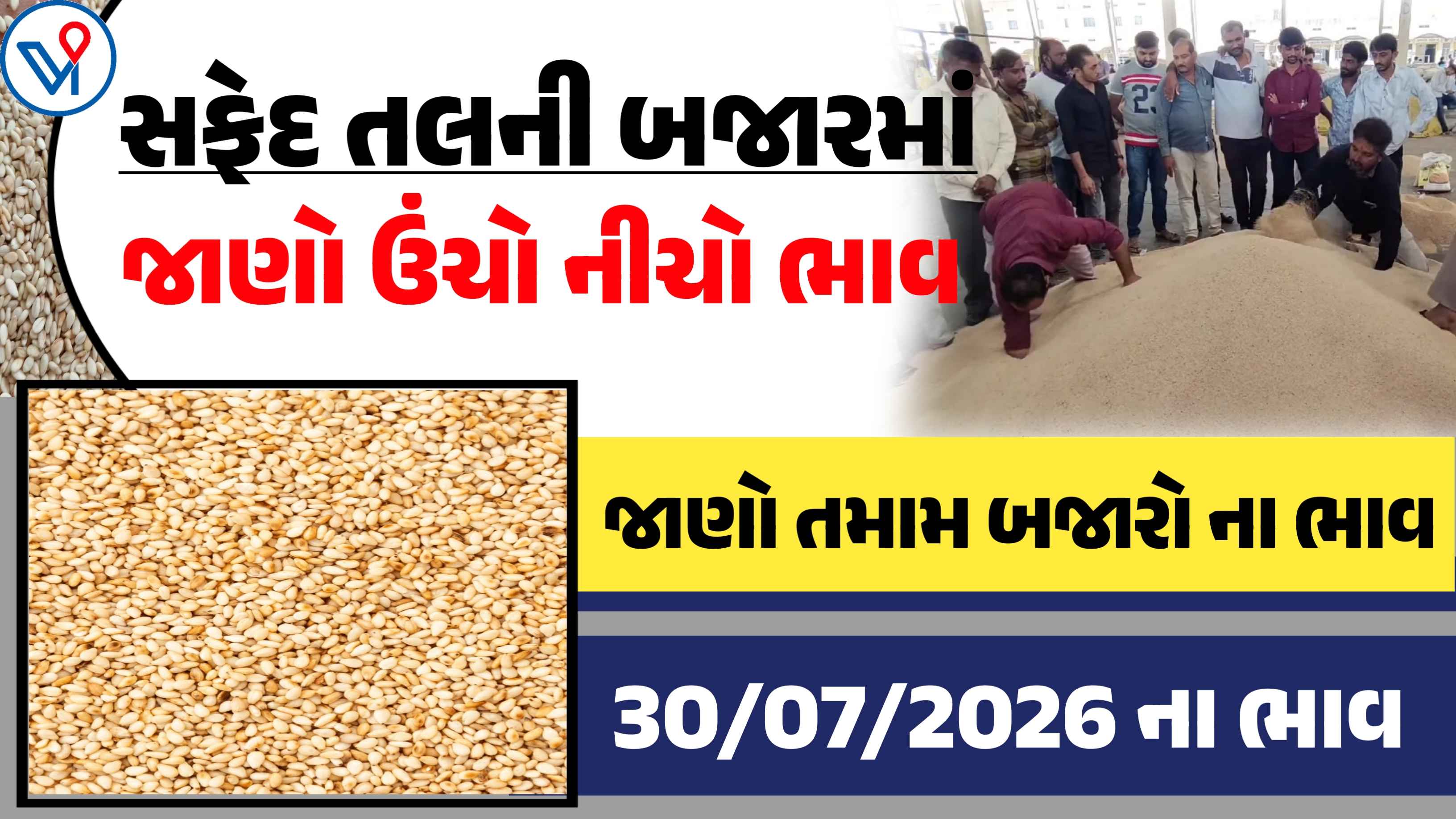 આજના સફેદ તલના બજાર ભાવ, જાણો આજનો ઉંચો નીચો બજાર ભાવ