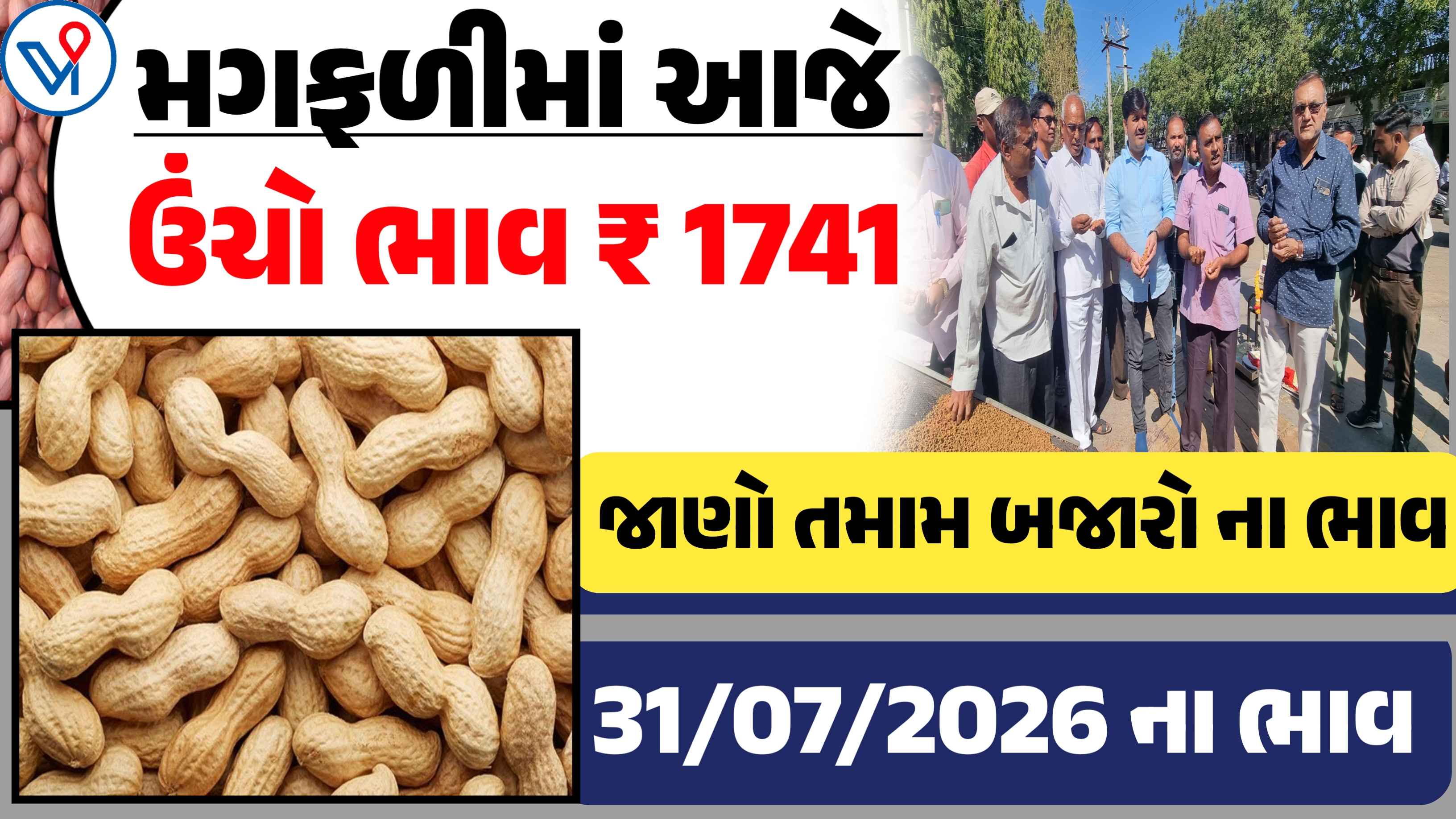 આજે મગફળીના ભાવમાં મોટો ઉછાળો? જુઓ 30 જુલાઈ 2026ના તમામ APMC ના બજાર ભાવ