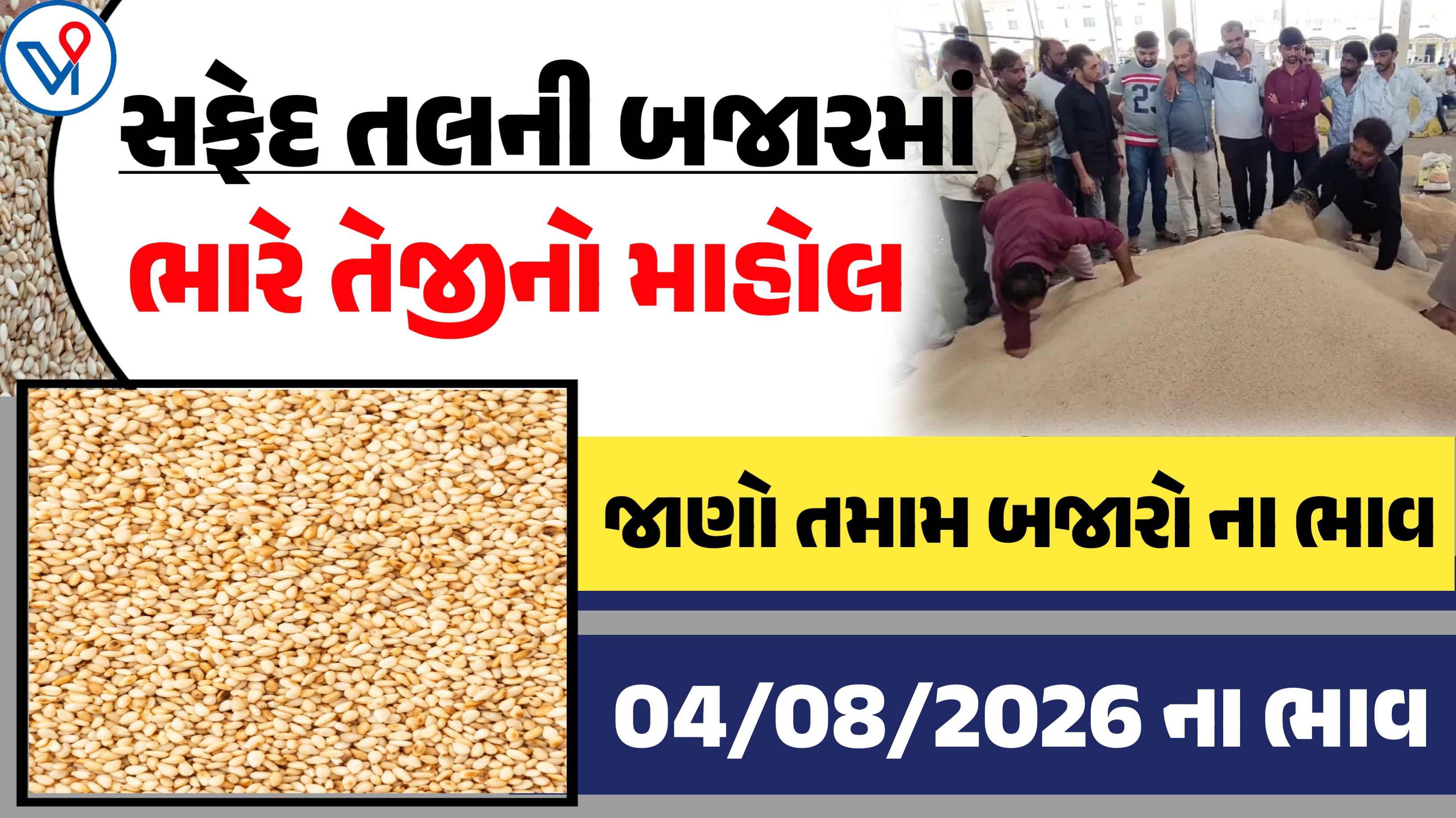 સફેદ તલના બજાર ભાવ: ગોંડલ, રાજકોટ, ઉંઝા| આજે તલમાં તેજીનો માહોલ