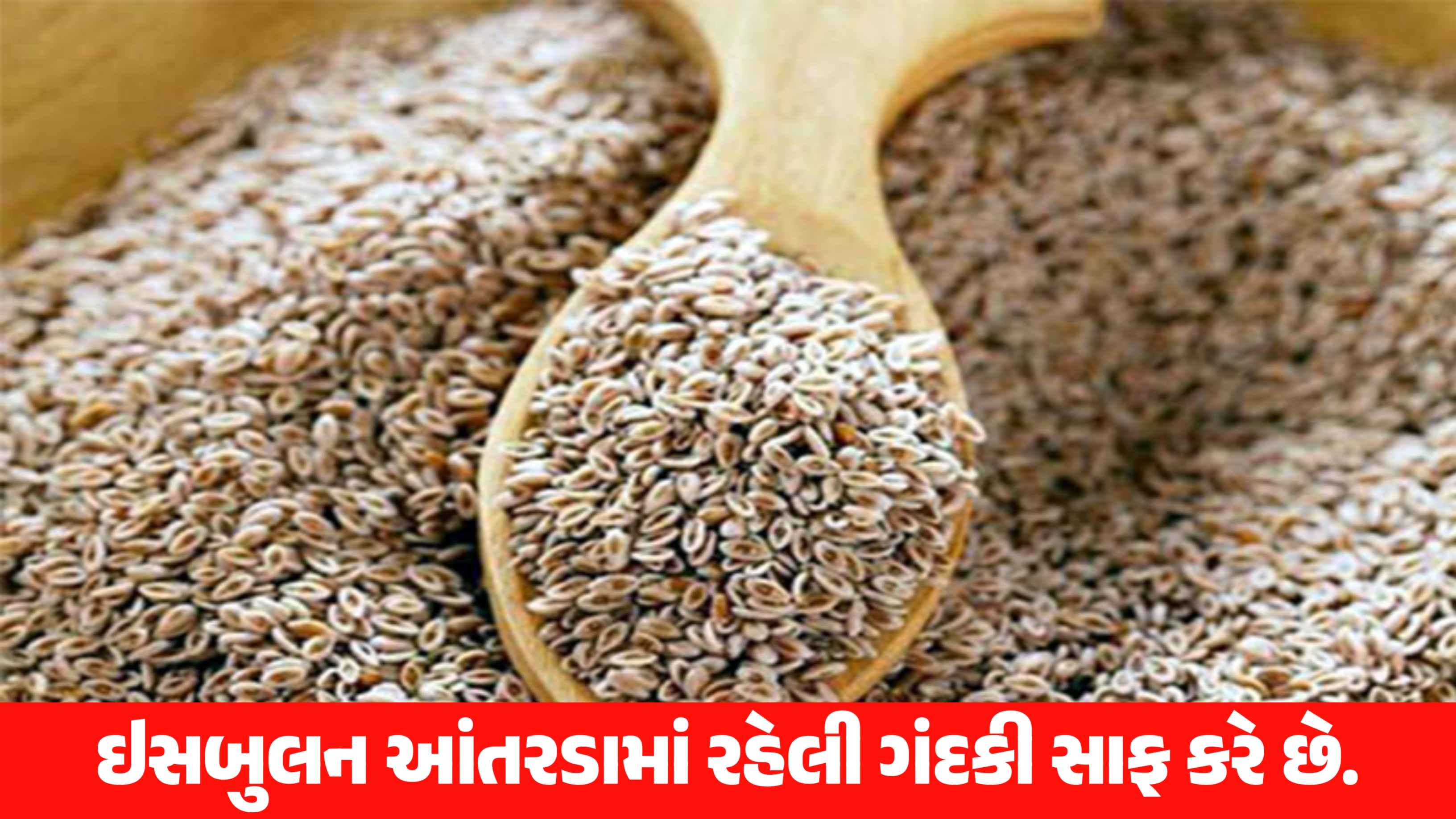 પેટની તકલીફોને કહો બાય-બાય: આ એક વસ્તુને પાણીમાં મિક્સ કરીને તેનું સેવન કરો.
