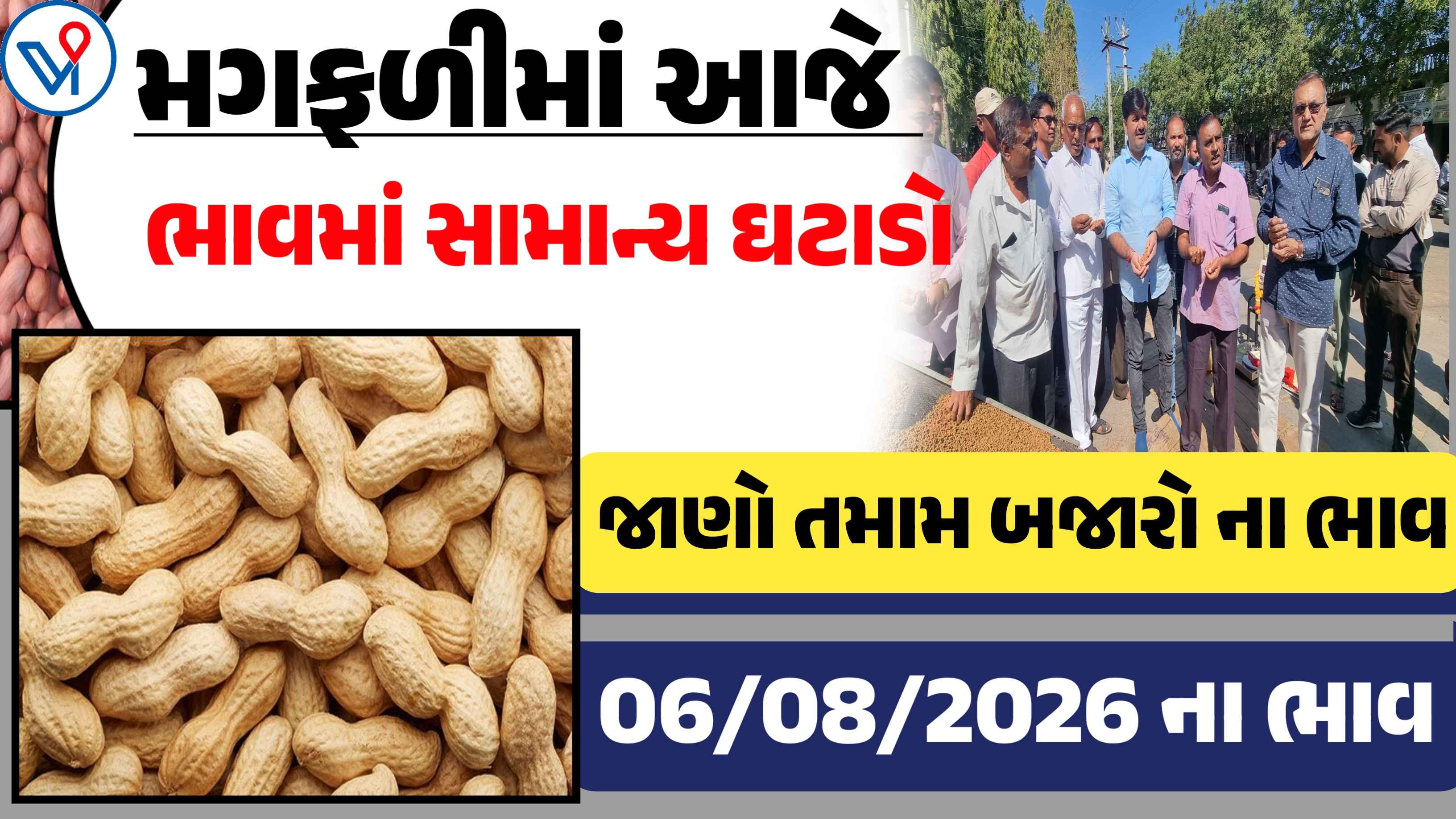 મગફળીના બજાર ભાવ: ગોંડલ, રાજકોટ, ગુજરાત| આજના માર્કેટ યાર્ડના ભાવ(6 ઓગસ્ટ 2026)