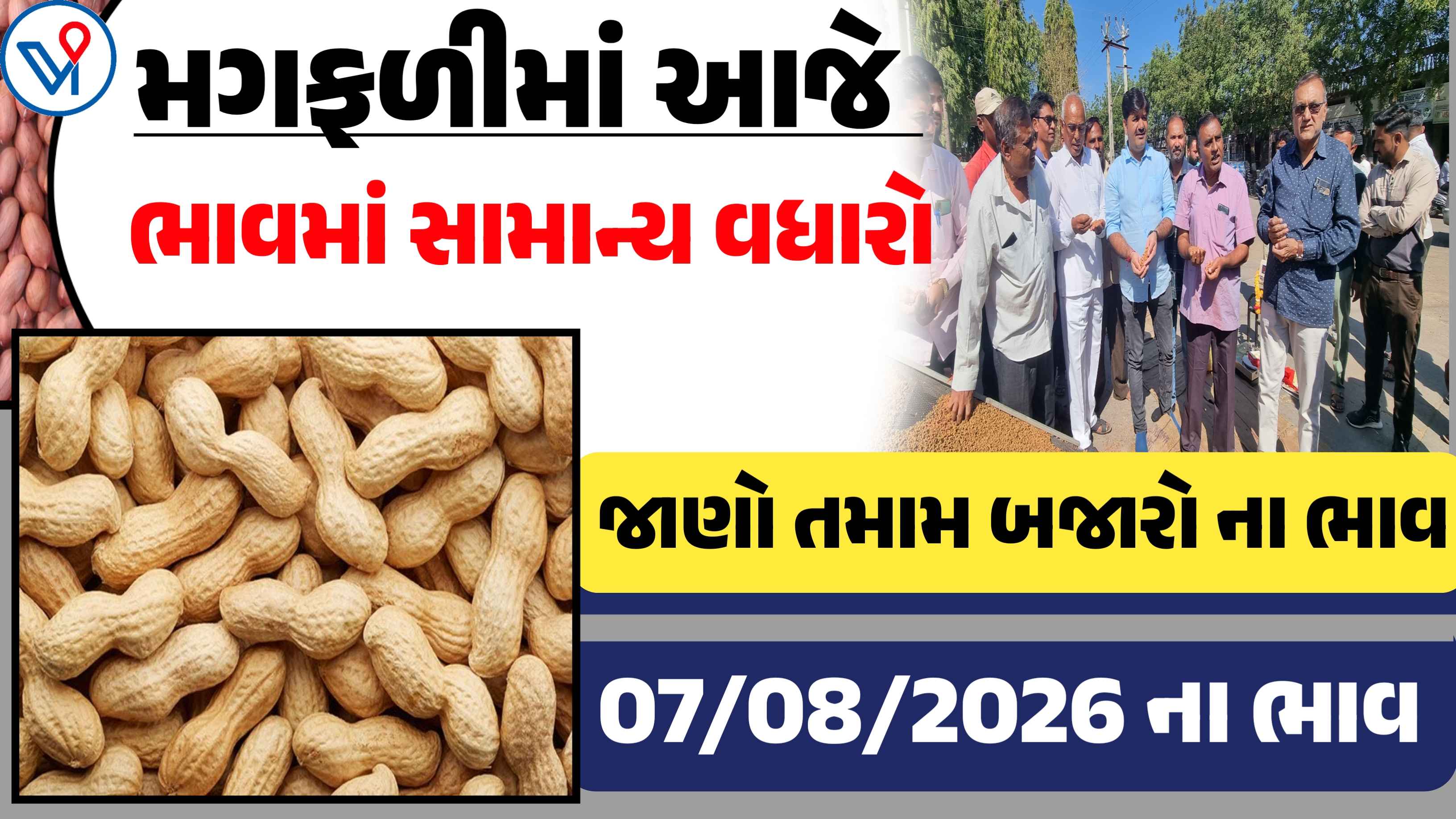 મગફળીના બજાર ભાવ: ગોંડલ, રાજકોટ, જસદણ| ગુજરાતનાં APMC ભાવ