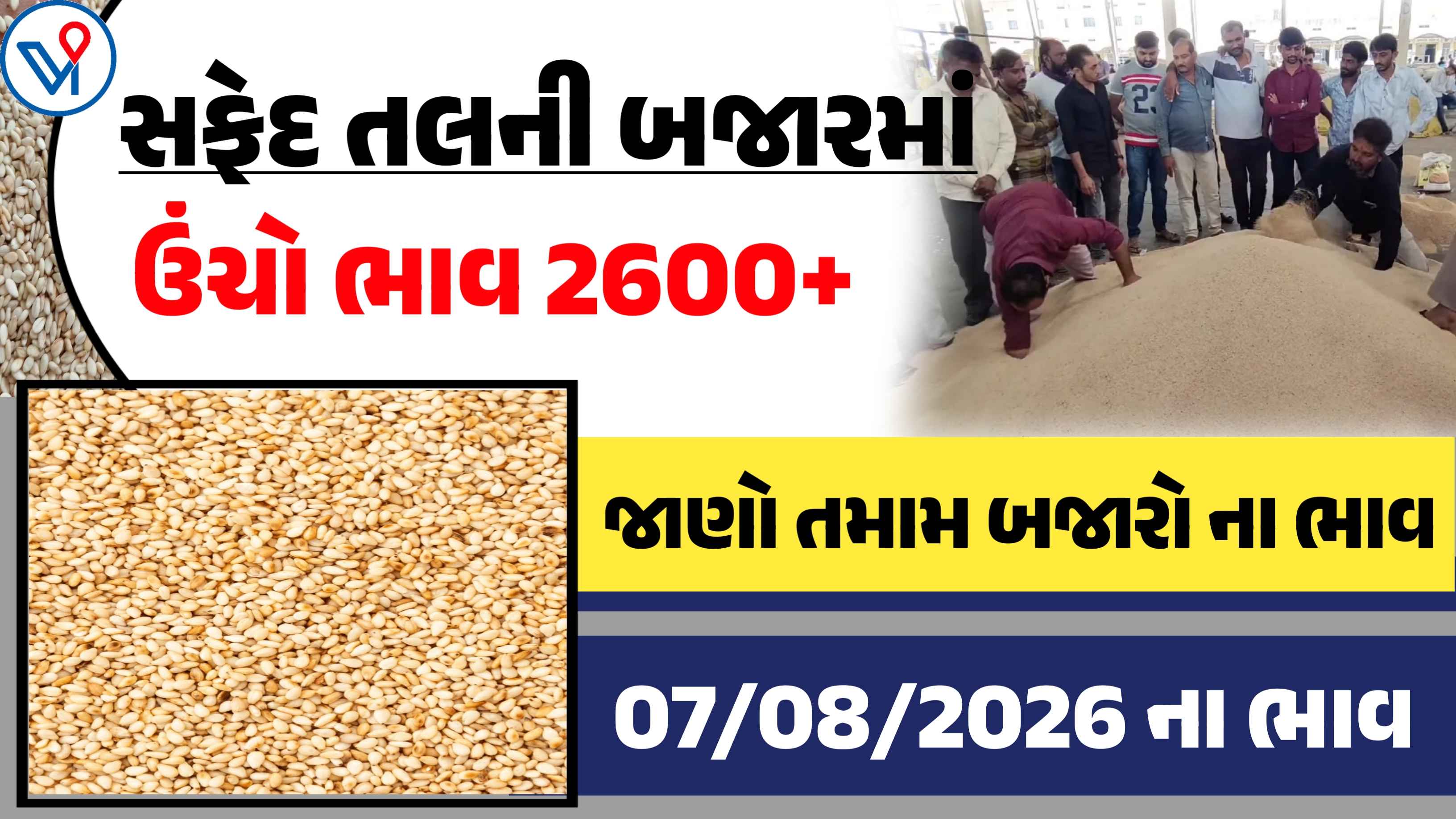 સફેદ તલના બજાર ભાવ: ગોંડલ, રાજકોટ, ઉંઝા| જાણો ઉંચા નીચા બજાર ભાવ