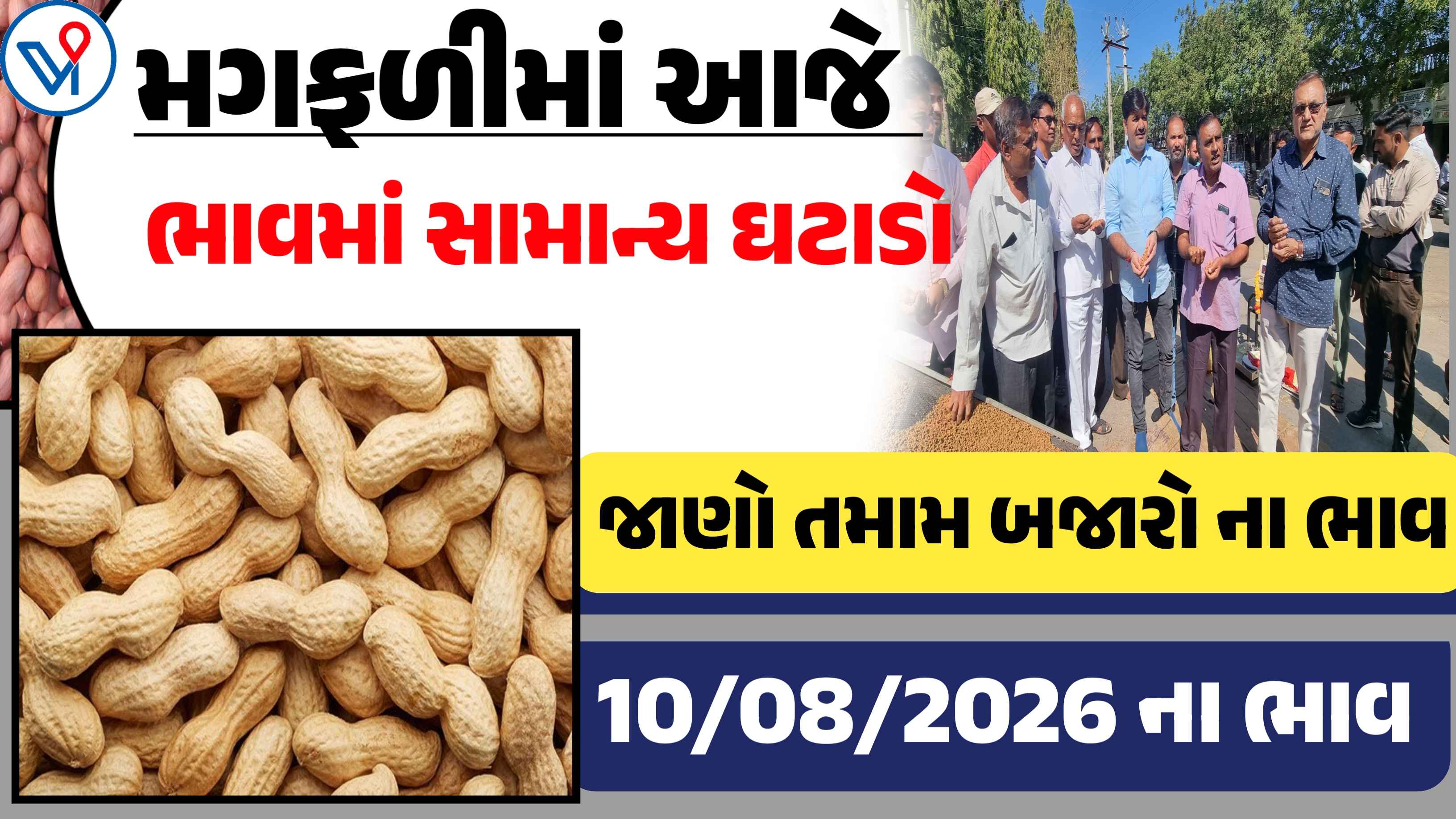 મગફળીના બજાર ભાવ: ગોંડલ, રાજકોટ, ગુજરાત| આજના માર્કેટ યાર્ડના ભાવ