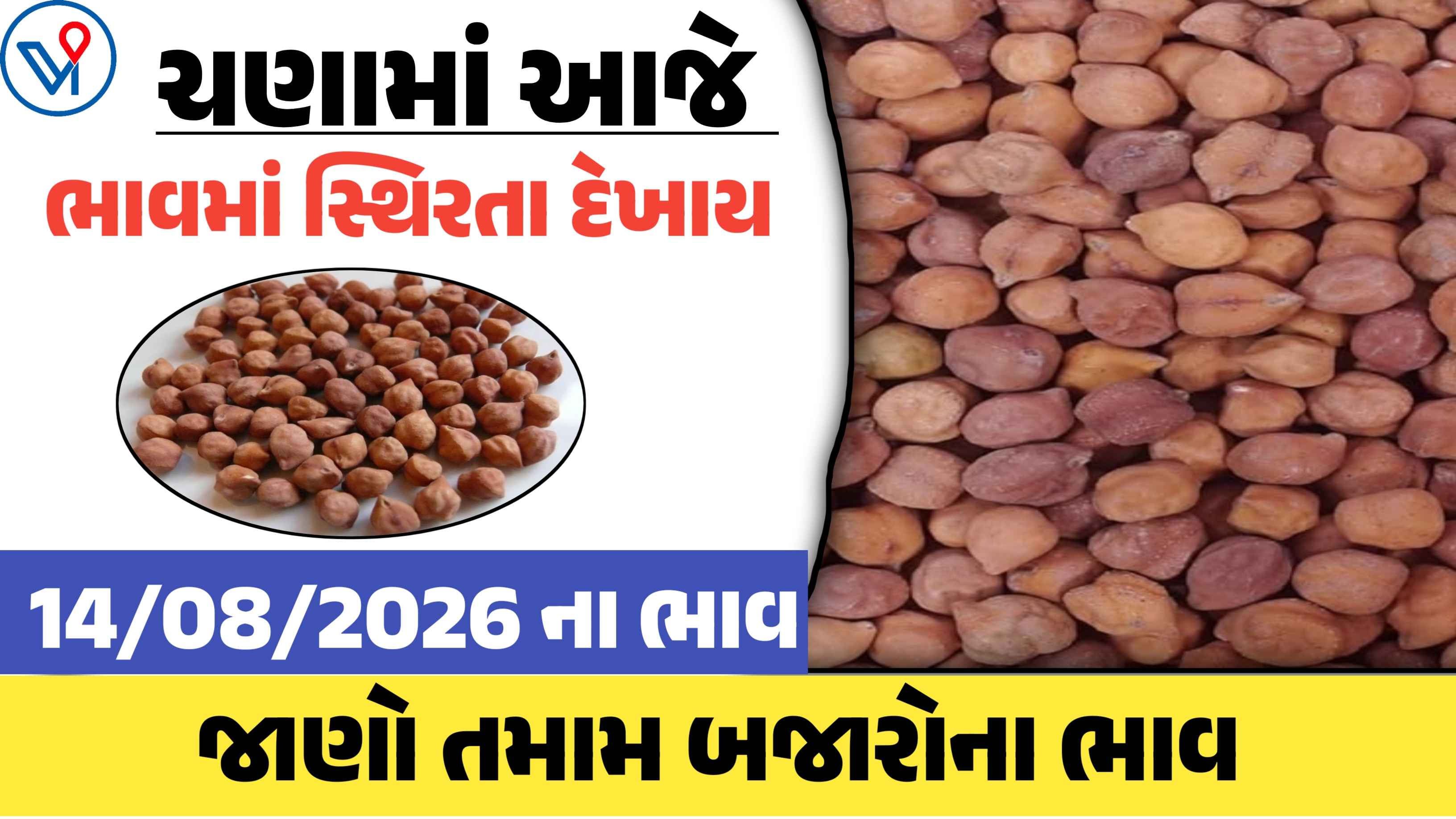 ચણાના બજાર ભાવ: ગોંડલ, રાજકોટ, ગુજરાત| ગુજરાતના તમામ માર્કેટ યાર્ડના બજાર ભાવ