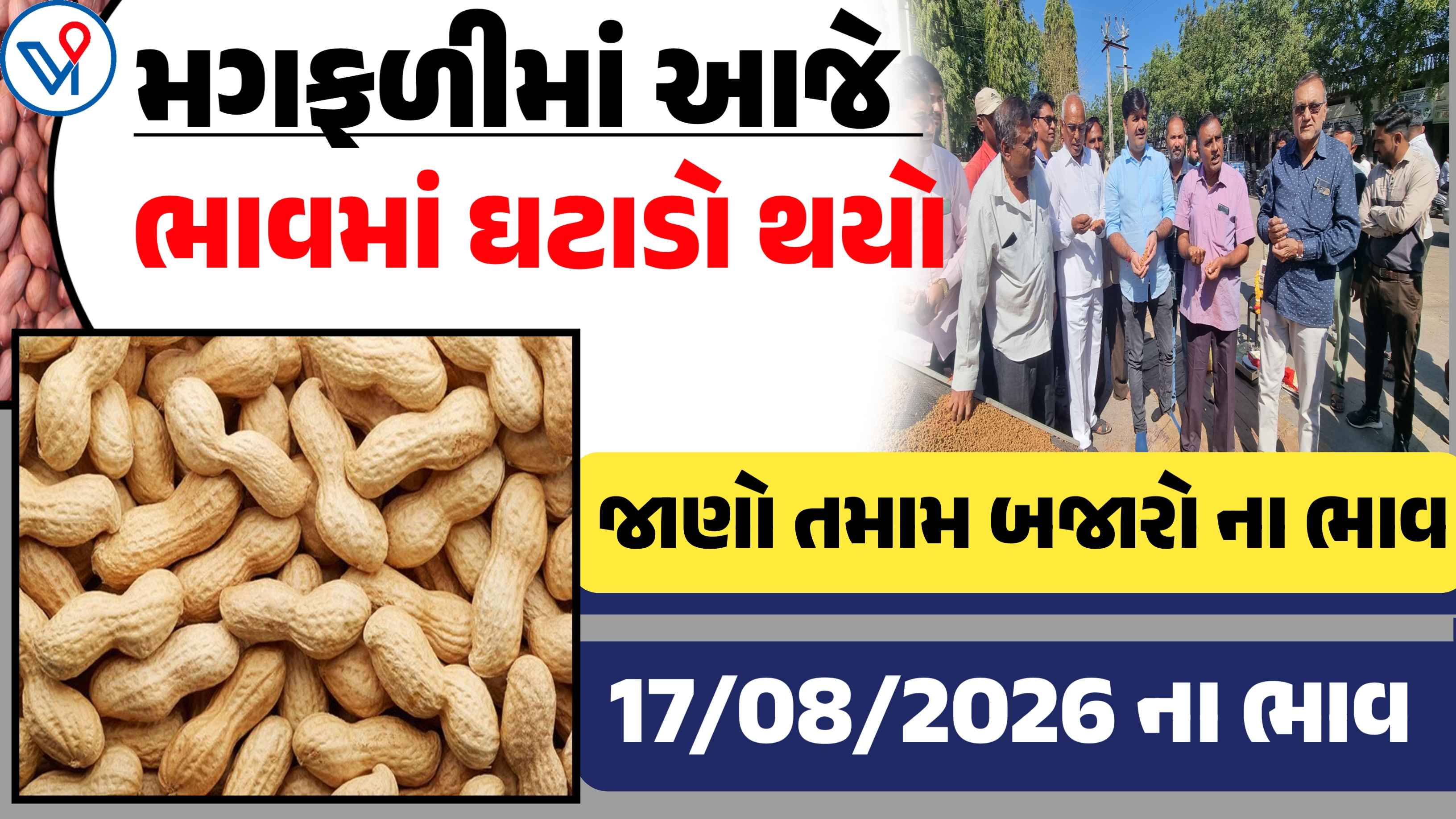 મગફળીના બજાર ભાવ| Today Groundnut price: જાણો તમામ APMCના બજાર ભાવ
