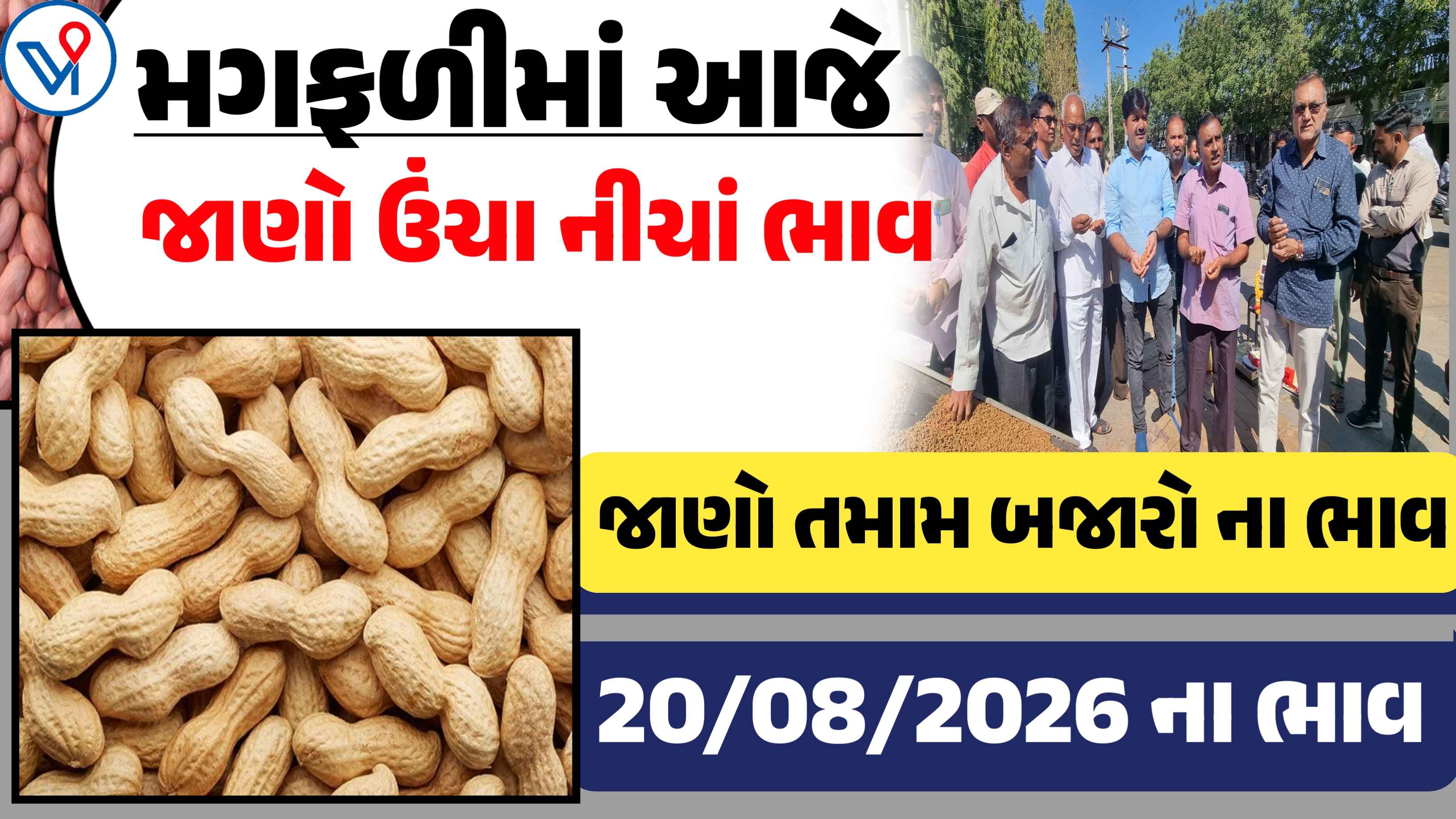 મગફળીના બજાર ભાવ| Today Groundnut Price: જાણો તમામ યાર્ડના બજાર ભાવ