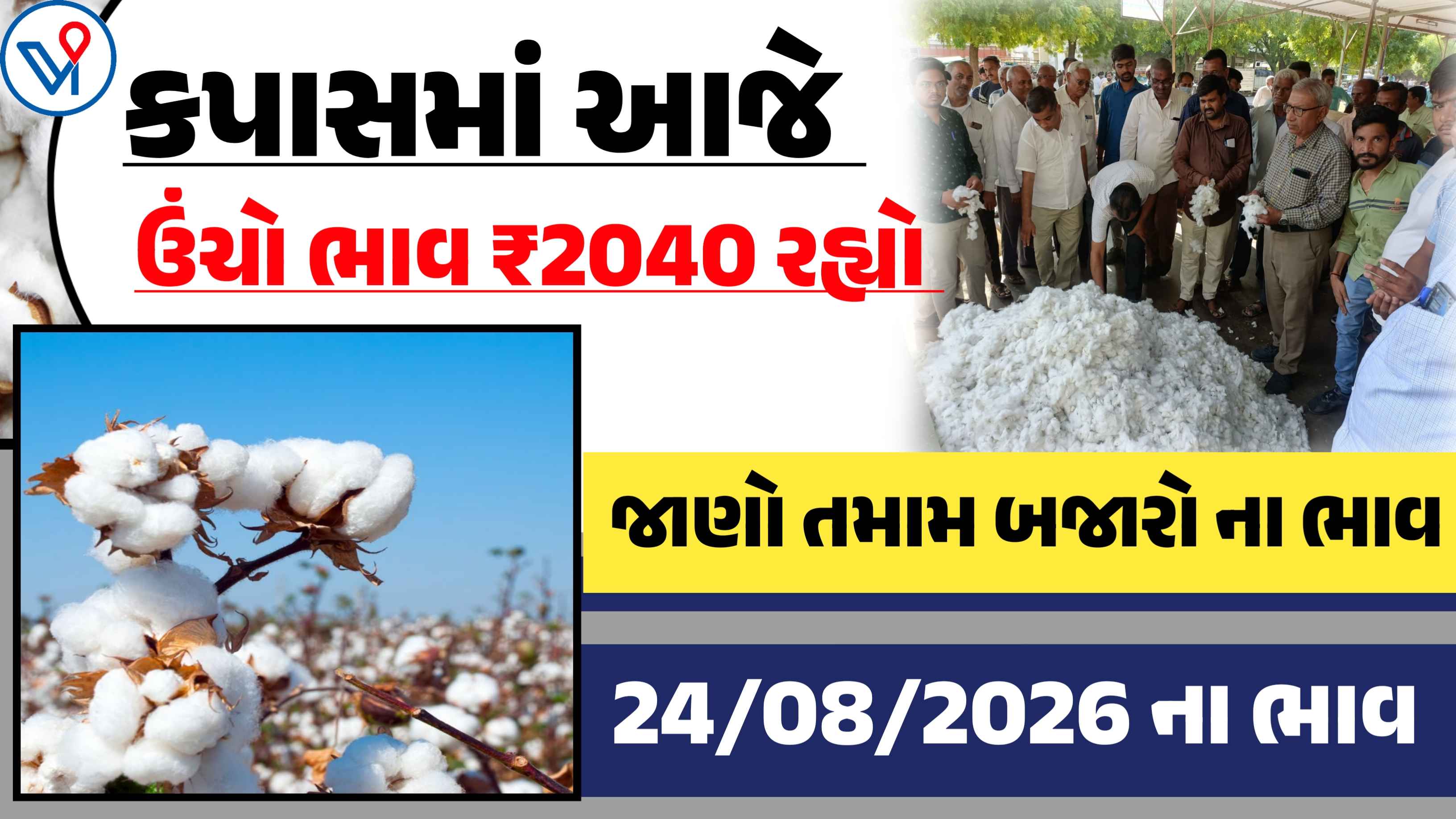 કપાસના બજાર ભાવ| Today Cotton Price: જાણો આજના તમામ યાર્ડના બજાર ભાવ